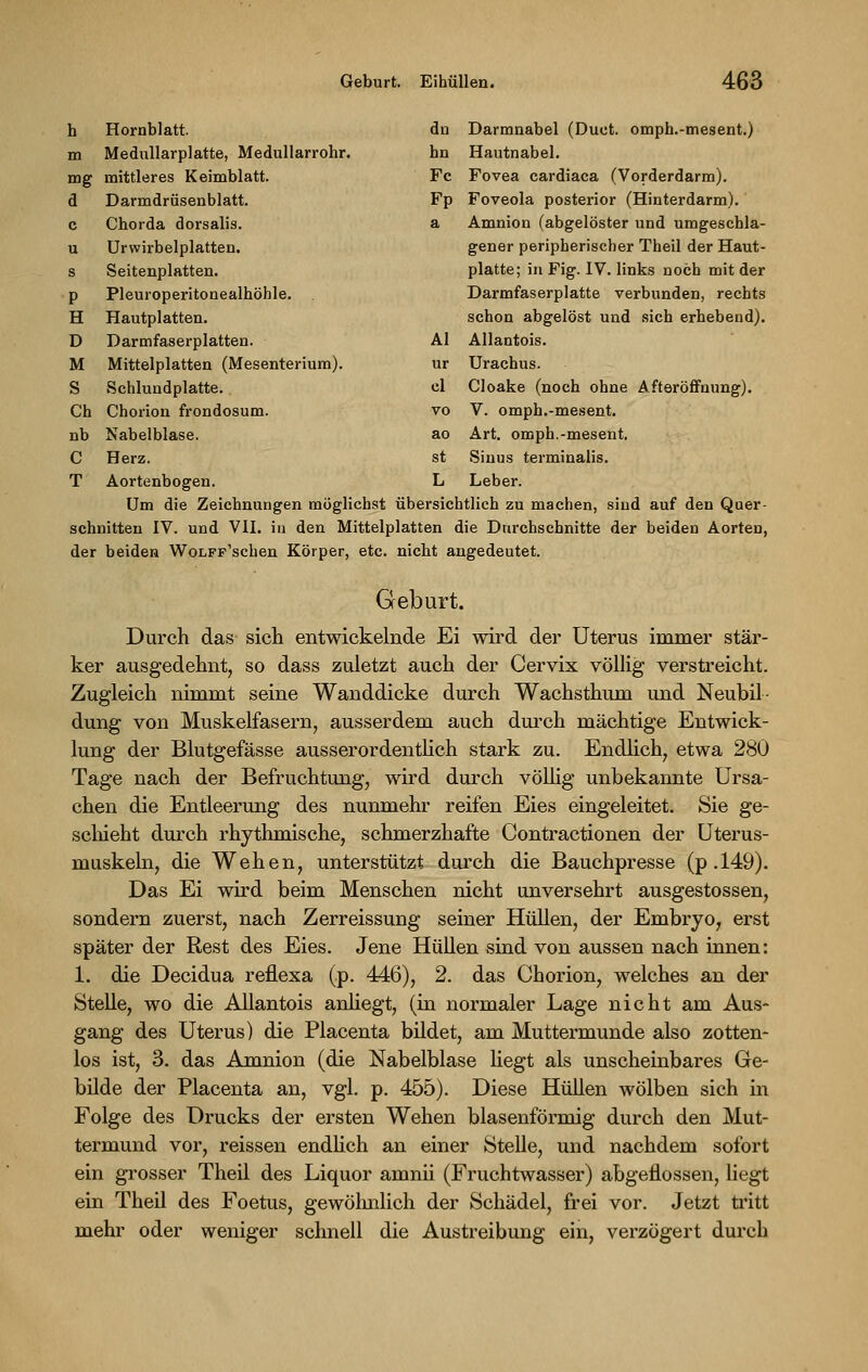 h Hornblatt. dn Darmnabel (Duct. omph.-mesent.) m Medullarplatte, Medullarrohr. hn Hautnabel. mg mittleres Keimblatt. Fe Fovea cardiaca (Vorderdarm). a Darmdrüsenblatt. FP Foveola posterior (Hinterdarm). c Cborda dorsalis. a Amnion (abgelöster und umgeschla- u Urwirbelplatten. gener peripherischer Theil der Haut- s Seitenplatten. platte; in Fig. IV. links noch mit der p Pleuroperitonealhöhle. Darmfaserplatte verbunden, rechts H Hautplatten. schon abgelöst und sich erhebend). D Darmfaserplatten. AI Allantois. M Mittelplatten (Mesenterium). ur Urachus. S Schlundplatte. el Cloake (noch ohne Afteröffnung). Ch Chorion frondosum. vo V. omph.-mesent. nb Nabelblase. ao Art. omph.-mesent. C Herz. st Sinus terminalis. T Aortenbogen. L Leber. Um die Zeichnungen möglichst übersichtlich zu machen, sind auf den Quer- schnitten IV. und VII. in den Mittelplatten die Durchschnitte der beiden Aorten, der beiden WoLFF'schen Körper, etc. nicht angedeutet. Geburt. Durch das sich entwickelnde Ei wird der Uterus immer stär- ker ausgedehnt, so dass zuletzt auch der Cervix völlig verstreicht. Zugleich nimmt seine Wanddicke durch Wachsthum und Neubil- dung von Muskelfasern, ausserdem auch durch mächtige Entwick- lung der Blutgefässe ausserordentlich stark zu. Endlich, etwa 280 Tage nach der Befruchtung, wird durch völlig unbekannte Ursa- chen die Entleerung des nunmehr reifen Eies eingeleitet. Sie ge- schieht durch rhythmische, schmerzhafte Contractionen der Uterus- muskeln, die Wehen, unterstützt durch die Bauchpresse (p .149). Das Ei wird beim Menschen nicht unversehrt ausgestossen, sondern zuerst, nach Zerreissung seiner Hüllen, der Embryo, erst später der Rest des Eies. Jene Hüllen sind von aussen nach innen: 1. die Decidua reflexa (p. 446), 2. das Chorion, welches an der Stelle, wo die Allantois anhegt, (in normaler Lage nicht am Aus- gang des Uterus) die Placenta bildet, am Muttermunde also zotten- los ist, 3. das Amnion (die Nabelblase hegt als unscheinbares Ge- bilde der Placenta an, vgl. p. 455). Diese Hüllen wölben sich in Folge des Drucks der ersten Wehen blasenförmig durch den Mut- termund vor, reissen endlich an einer Stelle, und nachdem sofort ein grosser Theil des Liquor amnii (Fruchtwasser) abgeflossen, liegt ein Theil des Foetus, gewöhnlich der Schädel, frei vor. Jetzt tritt mehr oder weniger schnell die Austreibung ein, verzögert durch