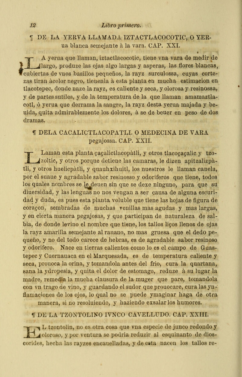 i 1[ DE LA YERVA LLAMADA IZTACTLACOCOTIC, O YER- ua blanca semejante á la vara. CAP. XXI. A yerna que llaman, IztactlacocotiC; tiene vna vara de medir de alargo, produze las ojas algo largas y ásperas, las flores blancas, cubiertas de vuos basillos pequeños, la rayz surculossa, cuyas corte- zas tiran ácolor negro, tienenla á esta planta en mucha estimación en tlacotepec, donde naze la rayz, es caliente y seca, y olorosa y resinossa, y de partes sutiles, y de la temi^eratura de la que llaman amamaztla- cotl, ó yerua que derrama la sangre, la rayz desta yerna majada y be- uida, quita admirablemente los dolores, á se de beuer en peso de dos dramas. 11 DÉLA CACALICTLACOPATLI. O MEDECINA DE YARA pegajossa. CAP. XXIL Laman esta planta gapalictlacopátli, y otros tlaco^apalic y tzo- ^zoltic, y otros porque detiene las cámaras, le dizen apitzalizpá- tli, y otros huelicpátli, y quaubxihuitl, los nuestros le llaman canela, por el suaue y agradable sabor resinosso y odoriferos que tiene, todos los quales nombres se le deuen sin que se dexe ninguno, para que su diuersidad. y las lenguas no nos vengan a ser causa de alguna escuri- dad y duda, es pues esta planta voluble que tiene las hojas de figura de coraron, sembradas de muchas venillas mas agudas y mas largas, y en cierta manera pegajosas, y que participan de naturaleza de sal- bia, de donde levino el nombre que tiene, los tallos hpos llenos de ojas la rayz amarilla semejante alrauano, no mas gruesa que el dedo pe- queño, y no del todo carece de hebras, es de agradable sabor resinoso y odorífero. Nace en tierras calientes como lo es el campo de Guas- tepecy Cuernauaca en elMarquesada, es de temperatura caliente y seca, prouoca la orina, y tomándola antes del frió, cura la quartana, sana la ydropesia, y quita el dolor de estomago, reduze á su lugar la madre, remedia la mucha clausura de la muger que pare, tomándola con vn trago de vino, y guardando el sudor que prouocare, cura las yn-' flamaciones de los ojos, lo qual no se puede ymaginar haga de otra manera, si no resoluieudO; y haziendo exsalarlos humores. 1Í DE LA TZONTOLINO lYNCO CAVELLUDO. CAP. XXIIL ~E ■^ L tzontolin, no es otra cosa que vna especie de junco redondo y ^ oloroso, y por ventura se podria reduzir al esquinante de dios- eorides, hecba las rayzes encauelladas, y de cata nacen los tallos re-