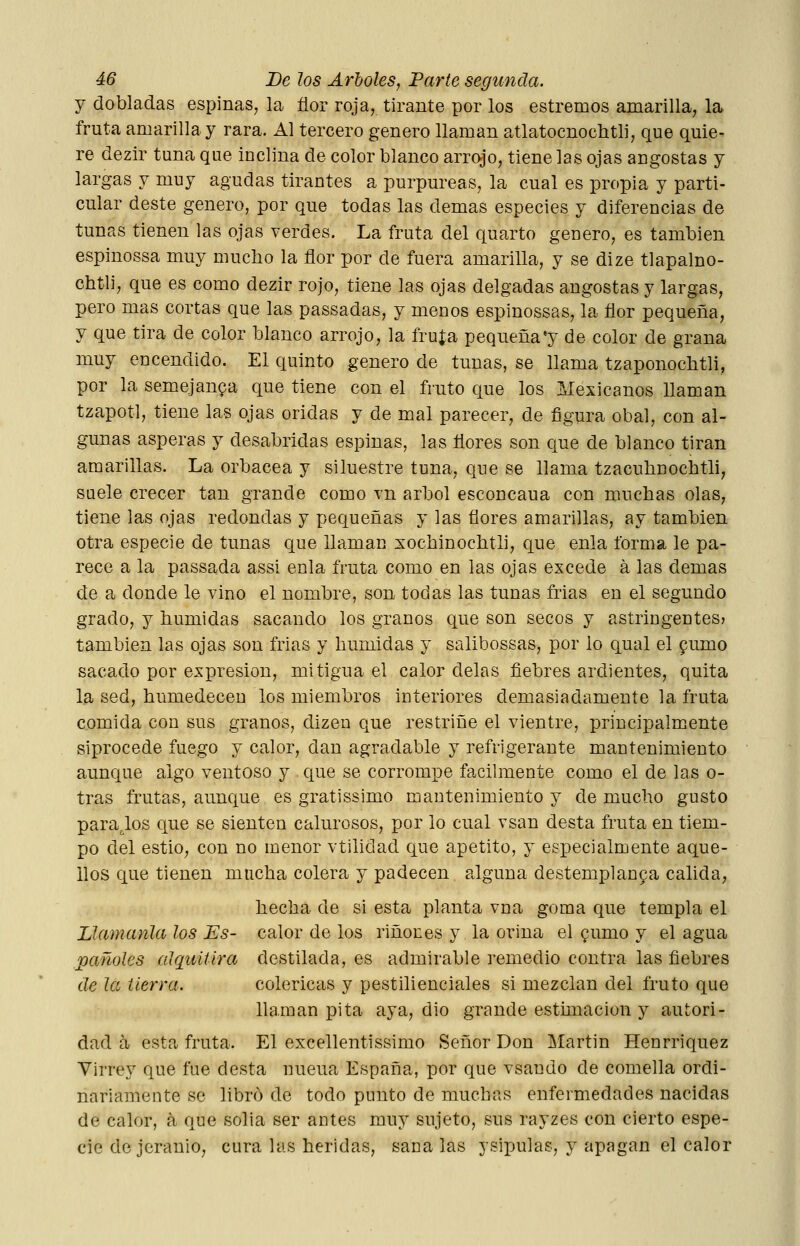 y dobladas espinas, la flor roja, tirante por los estremos amarilla, la fruta amarilla y rara. Al tercero genero llaman atlatocnochtli, que quie- re dezir tuna que inclina de color blanco arrojo, tiene las ojas angostas y largas y muy agudas tirantes a purpureas, la cual es propia y parti- cular deste genero, por que todas las demás especies y diferencias de tunas tienen las ojas verdes. La fruta del quarto genero, es también espinossa muy mucho la flor por de fuera amarilla, y se dize tlapalno- chtli, que es como dezir rojo, tiene las ojas delgadas angostas y largas, pero mas cortas que las passadas, y menos espinossas, la flor pequeña, y que tira de color blanco arrojo, la fruía pequeña'y de color de grana muy encendido. El quinto genero de tunas, se llama tzaponoclitli, por la semejanza que tiene con el fruto que los Mexicanos llaman tzapotl, tiene las ojas oridas y de mal parecer, de figura obal, con al- gunas ásperas y desabridas espinas, las flores son que de blanco tiran amarillas. La orbacea y siluestre tuna, que se llama tzacuhnochtli, suele crecer tan grande como vn árbol esconcaua con muchas olas, tiene las ojas redondas y pequeñas y las flores amarillas, ay también otra especie de tunas que llaman xochinochtli, que enla forma le pa- rece a la passada assi enla fruta como en las ojas excede á las demás de a donde le vino el nombre, son todas las tunas frías en el segundo grado, y húmidas sacando los granos que son secos y astringentes» también las ojas son frias y húmidas y salibossas, por lo qual el pumo sacado por expresión, mitigua el calor délas fiebres ardientes, quita la sed, humedecen los miembros iuteriores demasiadamente la fruta comida con sus granos, dizen que restriñe el vientre, principalmente siprocede fuego y calor, dan agradable y refrigerante mantenimiento aunque algo ventoso y . que se corrompe fácilmente como el de las o- tras frutas, aunque es gratissimo mantenimiento y de mucho gusto parajos que se sienten calurosos, por lo cual vsan desta fruta en tiem- po del estio, con no menor vtilidad que apetito, y especialmente aque- llos que tienen macha colera y padecen alguna destemplanpa calida, hecha de si esta planta vna goma que templa el Llamanla los Es- calor de los riñones y la orina el ^umo y el agua pañoles alquitira destilada, es admirable remedio contra las fiebres de la tierra. coléricas y pestilienciales si mezclan del fruto que llaman pita aya, dio grande estimación y autori- dad a esta fruta. El excellentissimo Señor Don ]\Iartin Henrriquez Virrey que fue desta nueua España, por que vsando de comella ordi- nariamente se libró de todo punto de muchas enfermedades nacidas de calor, k que solia ser antes muy sujeto, sus rayzes con cierto espe- cie de jcrauio, cura las heridas, sana las ysipulas, y apagan el calor