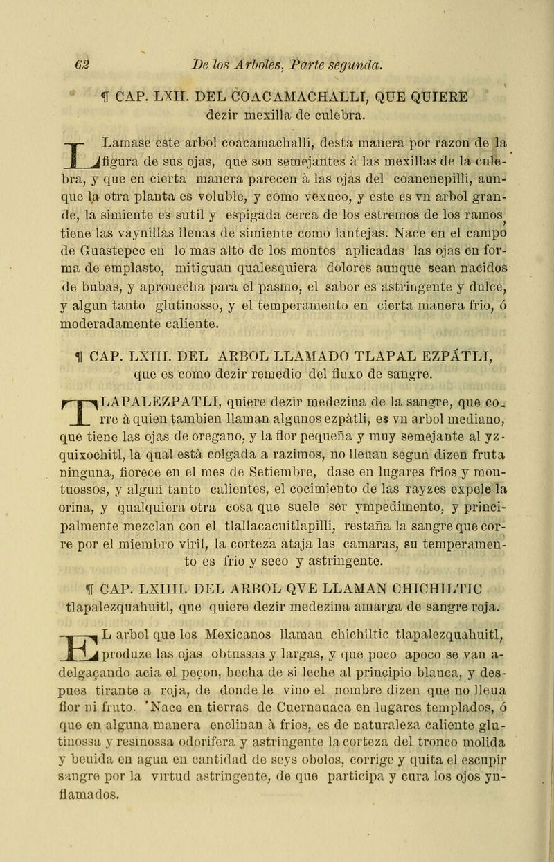 ^ CAP. LXII. DEL COACAMACHALLT, QUE QUIERE dezir mexilla de culebra. I Lámase este árbol coacanmclialli, desta manera por razón de la ^figura de sus ojas, que son semejantes á las mexillas de la cule- bra, y que en cierta manera parecen a las ojas del coauenepilli, aun- que la otra planta es voluble, y como vexuco, y este es vn árbol gran- de, la simiente es sutil y esjpigada cerca de los estremos de los ramos tiene las vaynillas llenas de simiente como lantejas. Nace en el campo de Guastepec en lo mas alto de los montes aplicadas las ojas en for- ma de emplasto, mitiguan qualesquiera dolores aunque sean nacidos de bubas, y aproueclia para el pasmo, el sabor es astringente y dulce, y algún tanto giutinosso, y el temperamento en cierta manera frió, ó moderadamente caliente. 11 CAP. LXIIL DEL ÁRBOL LLAMADO TLAPAL EZPÁTLI, que es como dezir remedio del fluxo de sangre. f^|-^LAPALEZPATLI, quiere dezir medezina de la sangre, que co_ I rre á quien también llaman algunos ezpátli, es vn árbol mediano, que tiene las ojas de orégano, y la ñor pequeña y muy semejante al yz- quixochitl, la qaal está colgada a razimos, no lleuan según dizen fruta ninguna, florece en el mes de Setiembre, dase en lugares fríos y mon- tuossos, y alguil tanto calientes, el cocimiento de las rayzes expele la orina, y qualquiera otra cosa que suele ser ympedimento, y princi- palmente mezclan con el tlallacacuitlapilli, restaña la sangre que cor- re por el miembro viril, la corteza ataja las cámaras, su temperamen- to es frió y seco y astringente. % CAP. LXmí. DEL ÁRBOL QVE LLAMAN CHICHILTIC tlapalezquahuitl, que quiere dezir medezina amarga de sangre roja. E ^ L árbol que los Mexicanos llaman cbichiltic tlapalezquahuitl, jjproduze las ojas obtussas y largas, y que poco apoco se van a- delgacando acia el poQon, hecha de si leche al principio blanca, y des- pués tirantea roja, de donde le vino el nombre dizen que no ileua flor ni fruto. 'Nace en tierras de Cuernauaca en lugares templados, ó que en alguna manera enclinan á frios, es de naturaleza caliente glu- tinossa y resinossa odorífera y astringente la corteza del tronco molida y bcuida en agua en cantidad de seys óbolos, corrige y quita el escupir sangre por la vntud astringente, de que participa y cura los ojos yu- flamados.
