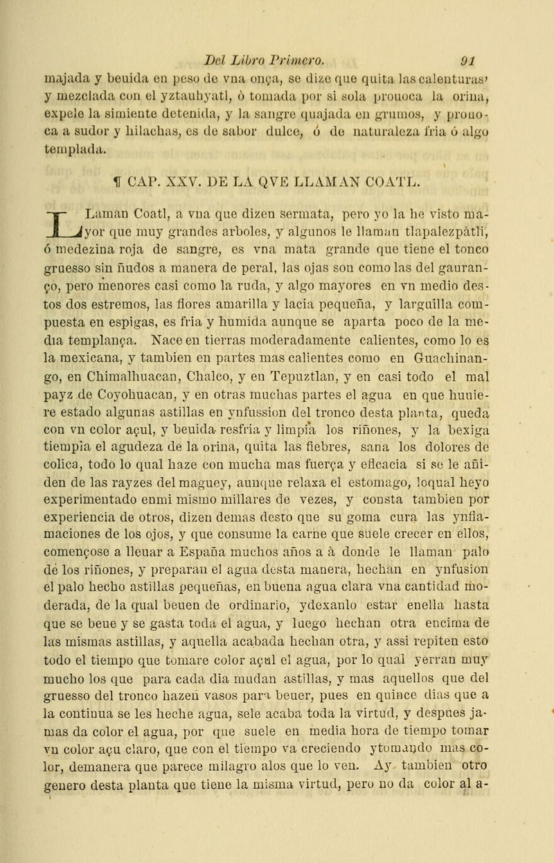 majada y beuida en peso de vna on^a, se dize que quita las calenturas' y mezclada con el yztaubyatl, ó tomada por si sola prouoca la orina, expele la simiente detenida, y la sangre quajada en grumos, y prouo- ca a sudor y hilachas, es de sabor dulce, ó de naturaleza fria ó algo templada. I 1Í CAP. XXV. DE LA QVE LLAMAN COATL. Laman Coatí, a vna que dizeu sermata, pero yo la he visto ma- ^yor que muy grandes arboles, y algunos le llaman tlapalezpátli, ó medezina roja de sangre, es vna mata grande que tiene el tonco gruesso sin ñudos a manera de peral, las ojas son como las del gauran- 90, pero menores casi como la ruda, y algo mayores en vn medio des- tos dos estremos, las flores amarilla y lacia pequeña, y larguilla com- puesta en espigas, es ñ-ia y húmida aunque se aparta poco de la me- dia templanza. Nace en tierras moderadamente calientes, como lo es la mexicana, y también en partes mas calientes como en Guachinan- go, en Chimalhuacan, Chalco, y en Tepuztlan, y en casi todo el mal payz de Coyohuacan, y en otras muchas x)artes el agua en que huuie- re estado algunas astillas en ynfussion del tronco desta planta, queda con vn color apul, y beuida resfria y limpia los riñones, y la bexiga tiempia el agudeza de la orina, quita las fiebres, sana los dolores de cólica, todo lo qual haze con mucha mas fuer9a y eficacia si se le añi- den de las rayzes del maguey, aunque relaxa el estomago, loqual heyo experimentado enmi mismo millares de vezes, y consta también por experiencia de otros, dizen demás desto que su goma cura las ynfla- maciones de los ojos, y que consume la carne que suele crecer en ellos, comenyose a llenar a España muchos años a á donde le llaman palo de los riñones, y preparan el agua desta manera, hechán en ynfusion el palo hecho astillas pequeñas, en buena agua clara vna cantidad mo- derada, de la qual beuen de ordinario, ydexanlo estar enella hasta que se beue y se gasta toda el agua, y luego hechan otra encima de las mismas astillas, y aquella acabada hechan otra, y assi repiten esto todo el tiempo que tomare color ayul el agua, por lo qual yerran muy mucho los que para cada dia mudan astillas, y mas aquellos que del gruesso del tronco hazeú vasos para beuer, pues en quince dias que a la continua se les heche agua, sele acaba toda la virtud, y después ja- mas da color el agua, por que suele en media hora de tiempo tomar vn color agu claro, que con el tiempo va creciendo ytomando mas co- lor, demanera que parece milagro alos que lo ven. Ay también otro genero desta planta que tiene la misma virtud, pero no da color al a-