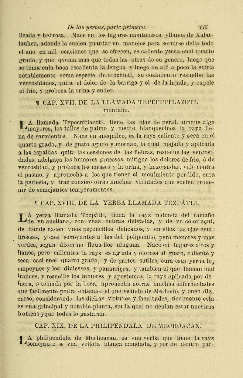 licada y hebrosa. Nace en los lugares montuossos yllanos de Xalat- lauhco, adonde la suelen guardar en manojos para seruirse della todo el año en mil ocasiones que se ofrecen, es caliente yseca enel quarto grado, y que qvema mas que todas las otras de su genero, luego que se toma enla boca escalienta la lengua, y luego de allí a poco la enfria notablemente como especie de atochietl, su cozimieuto resuelbe las ventosidades, quita el dolor de la barriga y el de la hijada, y expele el frío, y proboca la orina y sudor. 11 CAP. XVII. DE LA LLAMADA TEPECUITLAZOTL montano. LA llamada Tepecuitla^otl, tiene las ojas de peral, aunque algo mayores, los tallos de palmo y medio blanquecinos la rayz lle- na de sarmientos Nace en anequilco, es la rayz caliente y seca en el quarto grado, y de gusto agudo y mordaz, la qual majada y aplicada a las espaldas quita las cessiones de las fiebras, resuelue las ventosi- dades, adelgaya los humores gruessos, mitigua los dolores de frió, ó de ventosidad, y proboca los messes y la orina, y haze sudar, vale contra el pasmo, y aprouecha a los que tienen el mouimiento perdido, cura la perlesía, y trae consigo otras muchas vtilidades que suelen proue- nir de semejantes temperamentos, 51 CAP. XVIII. DE LA YEKBA LLAMADA TOZPÁTLI. LA yerza llamada Tozpátli, tiena la rayz redonda del tamaño de vn auellana, con vnas hebras delgadas, y de vn color a9ul, de donde nacen vnos peconcillos delicados, y en ellos las ojas cym- brossas, y casi semejantes a las del polipondio, pero menores y mas verdes, según dizen no lleua flor ninguna. Nace en lugares altos y llanos, pero calientes, la rayz es ag uda y olorosa al gusto, caliente y seca casi enel quarto grado, y de partes sutiles, cura esta yerua log empeynes y los diuiessos, y panarripos, y también el que llaman mal ^ranees, y resuelbe los í^umores y apostemas, la rayz aplicada por de- fuera, o tomada por la boca, aprouecha aotras muchas enfermedades que fácilmente podra entender el que vsaudo de Methodo, y buen dis_ curso, considerando las dichas virtudes y facultades, finalmente esta es vna grincipal y notable planta, sin la qual no deuian estar nuestras boticas yque todos lo gastaran. CAP. XIX, DE LA PHILIPENDALA DE MECHOACAN. T A philipendula de Mechoacan, es vna yerba que tiene la rayz -^semejante a vna vellota blanca mondada, y por de dentro par-