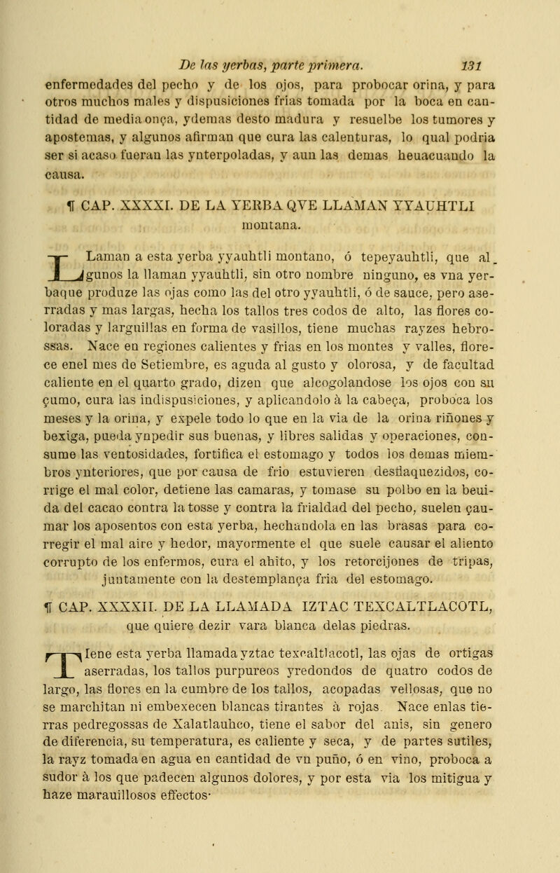 enfermedades del pecho y de los ojos, para probocar orina, y para otros muchos males y dispusiciones frias tomada por la boca en can- tidad de media onca, ydemas desto madura y resuelbe los tumores y apostemas, y algunos afirman que cura las calenturas, lo qual podría ser si acaso, fueran las ynterpoladas, y aun las demás heuacuando la causa. 1Í CAP. XXXXr. DE LA YERBA QVE LLAMAN YYAüHTLI montana. LLaman a esta yerba yyauhtli montano, ó tepeyauhtli, que al. gunos la llaman yyauhtli, sin otro nombre ninguno^ es vna yer- baqiie produze las ojas como las del otro yyauhtli, ó de sauce, pero ase- rradas y mas largas, hecha los tallos tres codos de alto, las flores co- loradas y larguilias en forma de vasillos, tiene muchas rayzes hebro- ssas. Nace en regiones calientes y frias en los montes y valles, flore- ce enel mes de Setiembre, es aguda al gusto y olorosa, y de facultad caliente en el quarto grado, dizeu que alcogolandose ios ojos con su cumo, cura las indispusiciones, y aplicándolo á la cabeca, proboca los meses y la orina, y expele todo lo que en la via de la orina ríñones y bexiga, pueda ynpedir sus buenas, y libres salidas y operaciones, con- sume las ventosidades, fortifica el estomago y todos los demás miem- bros ynteriores, que por causa de frió estuvieren desñaquezidos, co- rrige el mal color, detiene las cámaras, y tomase su polbo en la beui- da del cacao contra latosse y contra la frialdad del pecho, suelen gau- mar los aposentos con esta yerba, hechandola en las brasas para co- rregir el mal aire y hedor, mayormente el que suele causar el aliento corrupto de los enfermos, cura el ahito, y los retorcijones de tripas, juntamente con la destemplanca fria del estomago. 11 CAP. XXXXII. DE LA LLAMADA IZTAC TEXCALTLACOTL, que quiere dezir vara blanca délas piedra,s. Tiene esta yerba llamadayztac texcaltlacotl, las ojas de ortigas aserradas, los tallos purpúreos yredondos de quatro codos de largo, las flores en la cumbre de los tallos, acopadas vellosas, que no se marchitan ni embexecen blancas tirantes á rojas. Nace enlas tie- rras pedregossas de Xalatlauhco, tiene el sabor del anís, sin genero de diferencia, su temperatura, es caliente y seca, y de partes sutiles, la rayz tomada en agua en cantidad de vn puño, ó en vino, proboca a sudor á los que padecen algunos dolores, y por esta via los mitigua y haze marauillosos effectos*