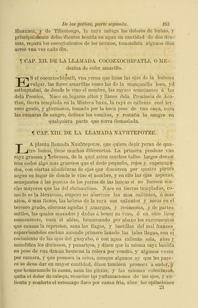 Huaxaca, y do Tilantongo, la rayz mitiga los dolores de hubas, y principalaieiitc dolos dientes beiiida en agua en cantidad do dos dra- mas, repara los encogimientos de los neruios, tomándola algunos días arreo vna vez cada día. H CAP. XII. DE LA LLAMADA COCOZXOCHIPATLT, O ME- dezina de color amarillo. E ^ S el cocozxochipatli, vna yerna que tiene las ojas do la hulossa ^ vulgar, las íiores amarillas como las de la raancanilla loca, yd estbnptalmi, de donde le vino el nombre, las rayzes semejantes á las déla Peonice. Nace en lugares altos y llanos déla Prouincia de Aca- tlan, tierra templada en la Misteoa baxa, la rayz es caliente enel ter- cero grado, y glutinossa, tomada por la boca x)eso de vna onca, cura las cámaras de sangre, detiene los vómitos, y restaña la sangre en qualcjuiera parto que corra demasiada. I II CAP. XIIL DE LA LLAMADA NAYHTEPOTZE. A planta llamada Naiibtepotze, que quiere dezir yerna de qua- ^tro lomos, tiene muchas diferencias. La primera produze vna rayz gruessa y Taebrossa, de la qual salen muchos tallos largos decasi tres codos algo mas gruessos que el dedo pequeño, rojos y enpenuga- dos, con ciertas añadiduras de ojas que discurren por quatro partos según su lugar de donde le vino el nombre, y en ello las ojas asperaS; semejantes á las puntas de los yerros de las laucas si no fuessen mu- cho mayores que las del chrisantirao. Nace en tierras templadas, co- mo lo es la Mexicana, empero no aborrece las mas calientes, ó mas altos, ó mas llanos, las hebras de la rayz son calientes y secas en el tercero grado, olorosas agudas y amargas, y resinossas, y de partes sutiles, las quales maxadas y dadas á beuer en vino, ó en otro licor conuenieute, cura el ahito, heua,cuando por abaxo los excrementos que causan la represión, sana las Hagas, y bostillas del mal francés esparciéndolos encima auiendo primero lauado las tales llagas, con ei cocimiento de las ojas del guayabo, ó con agua caliente sola, abre y mundifica los diuiessos, y i^anaricos, y dizen que la misma rayz beuida en peso de vna drama heuacua la colera por vomito, y algunas vezes por cámara, y que prouoca la orina, aunque algunos ay que les pare- ce se deue dar en mayor cantidad, dizen también prouoca a sudor, y que heuacuando la causa, sana las pintas, y las mismas calenturas, quita el dolor de cabeca, resuelue las yuñamaciones de los ojos, y ca- lienta y conforta el estomago Üaco por causa fria, abre las opilaciones 21