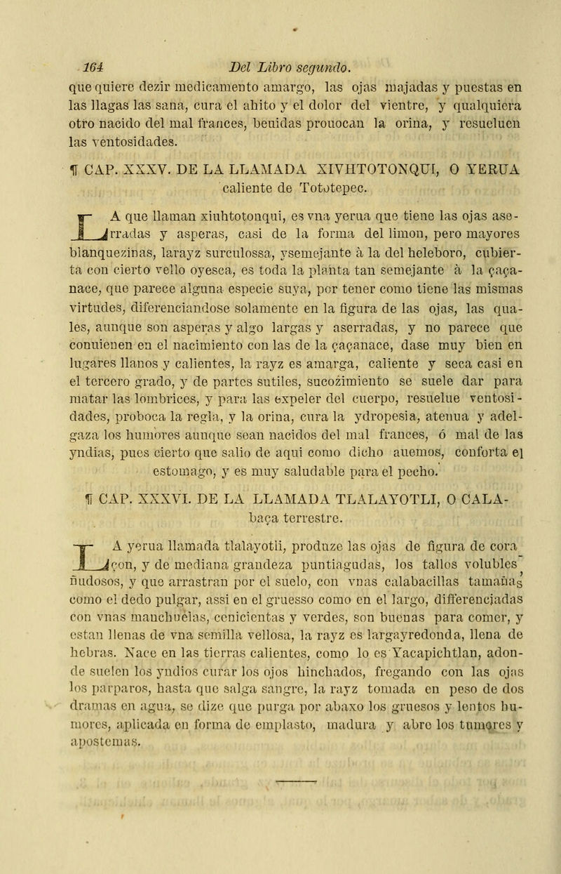 que quiere dezir inedicameDto amargo, las ojas majadas y puestas en las llagas las sana, cura el ahito y el dolor del yientre, y qualquiera otro nacido del mal trances, beuidas prouocan la orina, y resueluen las ventosidades. II CAP. XXXV. DE LA LLAMADA XIVHTOTONQUÍ, O YERüA caliente de Tototepec. 1- A que llaman xiuhtotonqui, es vna yerua que tiene las ojas ase- _J Jrradas y ásperas, casi de la forma del limón, pero mayores blanquezinas, larayz surculossa, ysemejante a la del heleboro, cubier- ta con cierto vello oyesca, es toda la planta tan semejante á la 9aca- nace, que parece alguna especie suya, per tener como tiene las mismas virtudes, diferenciándose solamente en la figura de las ojas, las qua- les, aunque son ásperas y algo largas y aserradas, y no parece que conuieuen en el nacimiento con las de la ^acanace, dase muy bien en lugares llanos y calientes, la rayz es amarga, caliente y seca casi en el tercero grado, y de partes sutiles, sucozimiento se suele dar para matar las lombrices, y para las expeler del cuerpo, resuelue ventosi- dades, proboca la regla, y la orina, cura la ydropesia, atenúa y adel- gaza los humores aunque sean nacidos del mal francés, ó mal de las yndias, pues cierto que salió de aqui como dicho auemos, conforta el estomago, y es muy saludable para el pecho. ^ CAP. XXXVI. DE LA LLAMADA TLALAYOTLI, O CALA- baca terrestre. I A yerua llamada tlalayotli, produze las ojas de figura de cora _^con, y de mediana grandeza puntiagudas, los tallos volubles ñudosos, y que arrastran por el suelo, con vnas calabacillas tamañas como el dedo pulgar, assi en el gruesso como en el largo, difíerencjadas con vnas manchuélas, cenicientas y verdes, son buenas para comer, y están llenas de vna semilla vellosa, la rayz es largayredonda, llena de hebras. Nace en las tierras calientes, como lo es Yacapichtlan, adon- de suelen los yndios curar los ojos hinchados, fregando con las ojas los parparos, hasta que salga sangre, la rayz tomada en peso de dos dramas en agua, se dize que purga por abaxo los gruesos y lentos hu- mores, aplicada en forma de emplasto, madura y abro los tumores y apostemas.