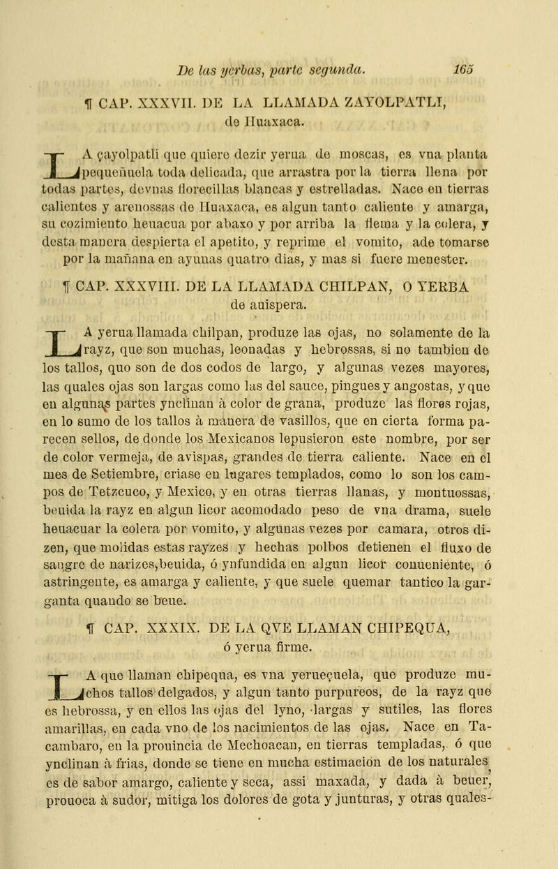 I % CAP. XXXVII. DE LA LLAMADA ZAYOLPATLT, do lluaxaca. A ^ayolpatli que quiere dozir yerua de moscas, es vna planta ^pequoñiiela toda delicada, que arrastra por la tierra llena por todas partos, devnas llorecillas blancas y estrelladas. Nace en tierras calientes y arenossas de Lluaxaca, es algún tanto caliente y amarga, su cozimiento heuacua por abaxo y por arriba la nema y la colera, j desta manera despierta el apetito, y rex^rime el vomito, ade tomarse por la mañana en ayunas quatro dias, y mas si fuere menester. f CAP. XXXVIII. DE LA LLAMADA CHILPAN, O YERBA de auispera. I A yerua llamada chupan, produze las ojas, no solamente de la _Jrayz, que son muchas, leonadas y hebrossas, si no también de los tallos, quo son de dos codos de largo, y algunas vezes mayores, las quales ojas son largas como las del sauce, pingues y angostas, y que en alguna^s partes yncllnan á color de grana, produze las flores rojas, en lo sumo de los tallos á manera de vasillos, que en cierta forma pa- recen sellos, de donde los Mexicanos lepusieron este nombre, por ser de color vermeja, de avispas, grandes de tierra caliente. Nace en el mes de Setiembre, criase en Itigares templados, como lo son los cam- pos de Tetzcuco, y México, y en otras tierras llanas, y montuossas, beuida la rayz en algún licor acomodado peso de vna drama, suele heuacuar la colera por vomito, y algunas vezes por cámara, otros di- zen, que molidas estas rayzes y hechas polbos detienen el fluxo de sangre de narizes^beuida, ó ynfundida en algún licor conueniente, ó astringente, es amarga y caliente, y que suele quemar tantico la gar- ganta quaudo se beue. II CAP. XXXIX. DE LA QVE LLAMAN CHIPEQUA, ó yerua firme. LA que llaman chipequa, es vna yerue^uela, que produze mu- chos tallos delgados, y algún tanto purpúreos, de la rayz que es hebrossa, y en ellos las ojas del lyno, 'largas y sutiles, las flores amarillas, en cada vno de los nacimientos de las ojas. Nace en Ta- cambaro, en la prouincia de Mechoacan, en tierras templadas, ó que ynclinan á frias, donde se tiene en mucha estimación de los naturales es de sabor amargo, caliente y seca, assi maxada, y dada a beuer, prouoca á sudor, mitiga los dolores de gota y junturas, y otras quales-