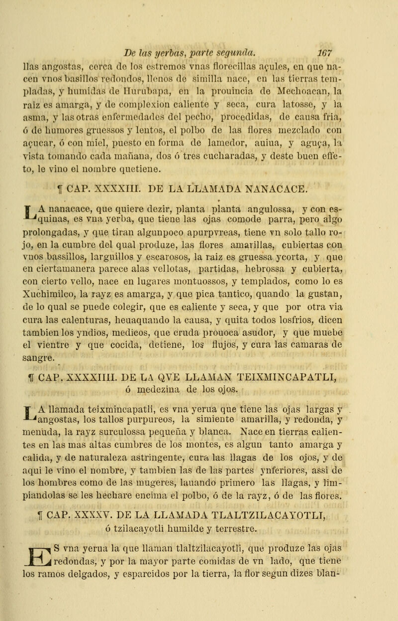 lias angostas, corea do los csíroraos vnas florecillas acules, en quo na- cen vnosbasillos redondos, llenos de similla naco, en las tierras tem- pladas, y hnmidas de ITurubapa, en la prouincia de Mechoacan, la raíz es amarga, y de complexión caliente y seca, cura latosse, y la asma, y las otras enfermedades del pecbo, procedidas, de causa fria, ó do humores graessos y lentos, el polbo de las flores mezclado con aQucar, ó con miel, puesto en forma de lamedor, auiua, y agu^'a, la vista tomando cada mañana, dos ó tres cucharadas, y deste buen efíe- to, le vino el nombre quetiene. f CAP. XXXXIII. DE LA LLAMADA NANACACE. ¥ A nanacace, que quiere dezir, planta planta angulossa, y con es- J-'quiüas, es vua yerba, que tiene las ojas comode parra, pero algo prolongadas, y que tiran algunpoco apurpvreas, tiene vn solo tallo ro- jo, en la cumbre del qual prodaze, las flores amarillas, cubiertas con vnos bassilloS; larguillos y escarosos, la raiz es gruessa ycorta, y que en ciertamanera parece alas vellotas, partidas, hebrossa y cubierta, con cierto vello, nace en lugares montuossos, y templados, como lo es Xuchimilco, la rayz es amarga, y que pica tantico, quando la gustan, de lo qual se puede colegir, que es caliente y seca, y que por otra via cura las calenturas, heuaquando la causa, y quita todos losfrios, dicen también los yndios, médicos, que cruda prouoca asudor, y que muebe el vientre y que cocida, detiene, los flujos, y cura las cámaras de sangre. ir CAP. xxxxim. de la qve llaman teixmincapatli, ó medezina de los ojos. A llamada teixmincapatli, es vna yerna que tiene las ojas largas y 'angostas, los tallos purpúreos, la simiente amarilla, y redonda, y mentida, la rayz surculossa pequeña y blanca. Nace en tierras calien- tes en las mas altas cumbres de los montes, es algún tanto amarga y calida, y de naturaleza astringente, cura las llagas de los ojos, y de aqui le vino el nombre, y también las de las partes ynferiores, assi de los hombres como de las mugeres, lañando primero las llagas, y lim- piándolas se les hechare encima el polbo, ó de la rayz, ó de las flores. ^ CAP. XXXXV. DE LA LLAMADA TLALTZILACATOTLT, ó tzilacayotli humilde y terrestre. E ^ S vna yerua la que llaman tlaltzilacayotli, que produze las ojas ^redondas, y por la mayor parte comidas de vn lado, que tiene los ramos delgados, y esparcidos por la tierra, la flor según dizes blan-