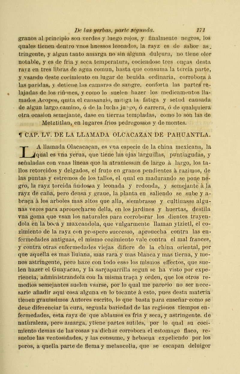 granos al principio son verdes y luego rojos, y finalmente negros, los quales tienen dentro vnos haessos leonados, la rayz es de sabor as. tringente, y algún tanto amarga no sin alguna dul(,;ura, no tiene olor notable, y es de fria y seca temperatura, cociéndose tres ongas desta rayz en tres libras de agua común, basta que consuma la tercia parte, y vsando deste cocimiento en lugar de beuida ordinaria, corrobora a las paridas, y detiene las cámaras do sangre, conforta las partes re- lajadas de los riñones, y como lo suelen liazer los medicamentos lla- mados Acopos, quita el cansanzio, mitiga la fatiga y setud causada de algún largo camino, 6 de la lucha ju-^^o, ó carrera, ó de qualquiera otra ocasión semejante, dase en tierras templadas, como lo son las de Metztitlan, en lugares frios pedregossos y de montes. 1Í CAP. LV. DE LA LLAMADA OLCACAZAN DE PAHÜANTLA. LA llamada Olacacapan, es vna especie de la china mexicana, la qual es vna yerua, que tiene las ojas larguillas, puntiagudas, y seíaaladas con vnas lineas que la atrauiessan de largo a largo, los ta- llos retorcidos y delgados, el fruto en granos pendientes á razimos, de las puntas y estremos de los tallos, el qual en madurando se pone ne- gro, la rayz torcida ñudossa y leonada y redonda, y semejante á la rayz de caña, pero densa y graue, la planta en saliendo se sube y a- bra9a a los arboles mas altos que alia, siembrasse y cultiuasse algu- nas vezes para aprouecharse della, en los jardines y huertas, destila vna goma que vsan los naturales para corroborar los dientes trayen- dola en la booa y maxcandola, que vulgarmente llaman ytzietl, el co- zimiento de la rayz con prospero successo, apronecba contra las en- fermedades antiguas, el mismo cozimiento vale contra el mal francés, y contra otras enfermedades viejas difiere de la china oriental, por que aquella es mas liuiana, mas rara y mas blanca y mas tierna, y me- nos astringente, pero baze con todo esso los mismos efiectos, que sue- len hazer el Guayacan, y la saryaparrilla según se ha visto por expe- riencia, administrándola con la misma tra^a y orden, que los otros re- medios semejantes suelen vsarse, por lo qual me pareció no ser nece- sario añadir aqui cosa alguna en lo tocante á esto, pues desta materia tienen grauissimos Autores escrito, lo que basta para enseñar-como se deue diferenciar la cura, segunla bariedad de las regiones tiempos en- fermedades, esta rayz de que ablamos es fria y seca, y astringente, de naturaleza, pero amarga, ytiene partes sutiles, por lo qual su coci- miento demás de las cosas ya dichas corrobora el estomago flaco, re- sueluelas ventosidades, y las consume, y hebacua expeliendo por los poros, a quella parte de flema y melancolía, que se escapan deluigor