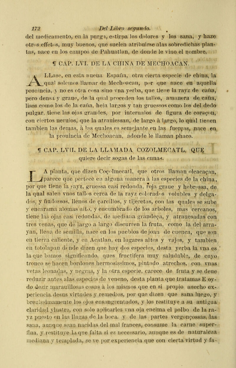 del niedicíuiDento, en la purgí, estirpa los dolores y los sana, y haze otros effetos, muy buenos, que suelen atribuirse alas sobredichas plan- tas, nace en los campos de Pahuatlan, de donde le vino el nombre. <í[ CAP. LYI. DE LA CHINA DE MECHOACAN. 4 LLase, en esta nueua España, otra cierta especie de china, la X^^qual solemos llamar de Mechoacan, pi»r que nace en aquella pronincia, \ no es ot¡ a cosa sino vna yerba, que tiene la rayz de caña, pero densa y íjraue, de la qna.l proceden los tallos, amanera de caña, lisos como los de la caña, heja larcros y tan gruessos como los del dedo pulgar, tiene las ojas í^randes, por intérnalos de figura de coraron, con ciertos neruios, que la atrauiessan, de largo a largo, lo qual tienen también las demás, á bis quales es semejante en las fuerQas, nace en la pronincia de Mechoacan, adonde le llaman phaco. fí CAP. LVII. DE LA LLAMADA COZOLMECATL, QUE quiere decir sogas de las cunas. A planta, que dizen CoQolmecatl, que otros llaman olcaca^an, parece que pertecé en alguna manera a las especies de la china, por que tiene la rayz, grnessa casi redonda, foja graue y hebrossa, de la qual salen vnos tallos cerca de la rayz colorados volubles y delga- dos, y ñudossos, llenos de zarcillos, y tijeretas, con las quales se sube y encarama alomas -alto, y encumbrado de los arboles, mas cercanos, tiene las ojas casi ledondas, de mediana grandeva, y atrauesadas con tres veuaS; que de largo a largo discurren la fruta, como la del arra- yan, llena de semilla, nace en los pueblos dejoan de cuenca, que son en tierra caliente, y en Acatlan, en lugares altos y vajos, y también en totolapan donde dizen que hay dos especies, desta yerba la vna es la que bamos significando, ques, fructífera muy saludable, de cuyo tronco se hacen bordones herraosissimos, pintado atrechos, con vnas vetas leoua(|as, y negras, y la otra especie, carece de fruta y se deue reduzir antes alas especies de veneno, desta planta que tratamasE oy- do dezir marauillosas cosas a los mismos que en si propio anecho ex- periencia, desús virtudes y remedios, por que dizen que sana luego, y breuissimamente los ojos ensangrentados, y los restituye a su antigua claridad ylustre, con solo aplicarles vna oja encima el polbo de la ra- yz puesto en las llagas de la boca, y de las partes vergon^ossas, das sana, aunque sean nacidas del mal francés, consume la carne -super- fina, y restituye laque falta si es necessario, aunque es de naturaleza mediana v templada, se \'e i)or experiencia que con cierta virtud y fa-