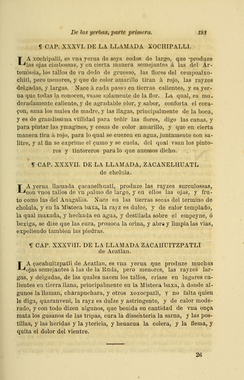 H CAP. XXXVI. DE LA LLAMADA XOCHIPALLL T A xochipalli, es vna yerua do soys codos de largo, que -produze *-^las ojas cimbossas, y en cierta manera semejantes á las del Ar- temissia, los tallos de vn dodo de gniesso, las flores del cempoalxo- cliitl, pero menores, y que de color amarillo tiran a rojo, las rayzes delgadas, y largas. Nace á, cada passo en tierras calientes, y es yer- ua que todas la conocen, vsase solamente de la flor. La qual, es mo- deradamente caliente, y de agradable olor, y sabor, conforta el cora- yon, sana los males de Qiadre, y las llagas, principalmente de la boca, y es de grandissima vtilidad para teñir las flores, digo las canas, y para pintar las y magines, y cosas de color amarillo, y que en cierta manera tira á rojo, para lo qual se cuezen en agua, juntamente con sa- litre, y al ñn se exprime el cumo y se cuela, del qual vsan los pinto- res y tintoreros para lo que auemos dicho. * 1í CAP. XXXVIL DE LA LLAMADA, ZACANELHUATL de choliila. LA yerua llamada pacanelhuatl, produze las rayzes surculossas, con vnos tallos de vn palmo de largo, y en ellos las ojas, y fru- to como las del Anagaliis. Nace en las tierras secas del termino de cliolula, y en la Misteca baxa, la rayz es dulce, y de calor templado, la qual maxada, y liechada en agua, y destilada sobre el empeyne, ó bexiga, se dize que las cura, prouoca la orina, y abra y limpíalas vias, expeliendo también las piedras. 11 CAP. XXXVIII. DE LA LLAMADA ZACAHUITZPATLI de Acatlan. T A gacahuitzpatli de Acatlan, es vna yerua que produze muchas ■*-^ojas semejantes a las de la Ruda, pero menores, las rayzes lar- gas, y delgadas, de las quales nacen los tallos, criase en lugares ca- lientes en tierra llana, principalmente en la Misteca baxa, á donde al- gunos la llaman, chárapuchara, y otros xoxocpatli, y no falta quien le diga, quaranveni, la rayz es dulze y astringente, y de calor mode- rado, y con todo dizen algunos, que beuida en cantidad de vna onya mata los gusanos de las tripas, cura la dissebteria la sarna, y las pos- tillas, y las heridas y la ytericia, y heuacua la colera, y la flema, y quita el dolor del vientre. 26