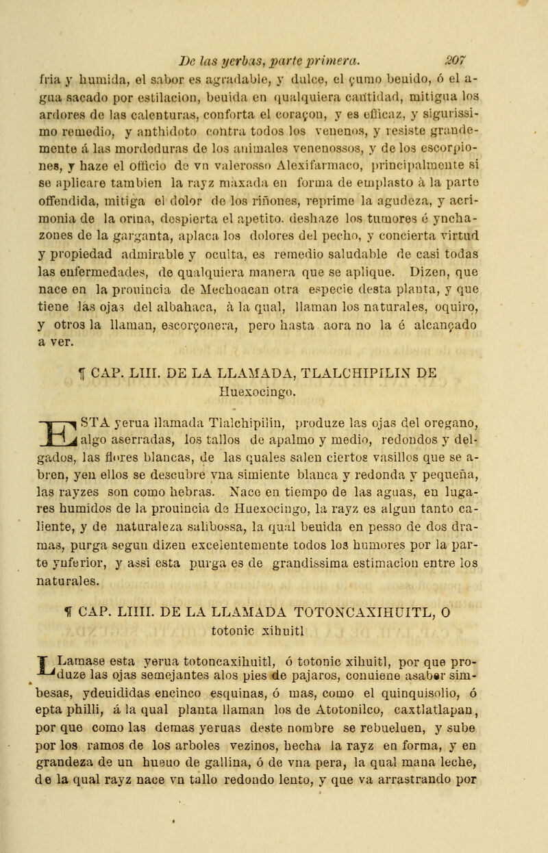 íVia y húmida, el sabor es agradable, y dulce, el yumo beuido, ó el a- gua sacado por estilación, bouida en qu;ilqiiiera cantidad, mitigna loa ardores de las calenturas, conforta el corayon, y es efíicaz, y sigurissi- mo remedio, y aiithidoto cohtra todos los venenos, y resiste grande- mente á las mordeduras de los animales veneuossos, y de los escorpio- nes, y baze el officio de vn valerosso Alexiíarmaco, principalmente si se nplicaro también la rayz maxada en forma de emplasto a la parto offendida, mitiga el dolor de los ríñones, reprime la agudeza, y acri- monia de la orina, despierta el apetito, deshaze los tumores ó yncba- zoues de la garganta, aplaca los dolores del pecho, y concierta virtud y propiedad admirable y oculta, es remedio saludable de casi todas las enfermedades, de qualquiera manera que se aplique. Dizen, que nace en la prouincia de Mechoacau otra especie desta planta, y que tiene las ojas del albahaca, á la qual, llaman los naturales, oquiro, y otros la llaman, escorgonera, pero hasta aora no la ó alcanpado a ver. f CAP. Llir. DE LA LLAMADA, TLALCHIPILIN DE Huexocingo. E ^ STA yerua llamada Tlalchipilin, produze las ojas del orégano, ^ algo aserradas, los tallos de apalmo y medio, redondos y del- gados, las flores blancas, de las quales salen ciertos vasillos que se a- bren, yen ellos se descubre vna simiente blanca y redonda y pequeña, las rayzes son como hebras. Nace en tiempo de las aguas, en luga- res húmidos de la prouincia de Huexocingo, la rayz es algún tanto ca- liente, y de naturaleza salibossa, la qual beuida en pesso de dos dra- mas, purga según dizen excelentemente todos lo3 humores por la par- te yuferior, y assi esta purga es de grandissima estimación entre los naturales. 1Í CAP. LIIII. DE LA LLAMADA TOTONCAXIHüITL, O totonic xihuitl T Lámase esta yerua totoncaxihuitl, ó totonic xihuitl, por que pro- •^*^duze las ojas semejantes alos pies de pájaros, conuiene asaber sim- besae, ydeuididas encinco esquinas, ó mas, como el quinquisolio, ó epta philli, á la qual planta llaman los de Atotonilco, caxtlatlapan, por que como las demás yeruas deste nombre se rebueluen, y sube por los ramos de los arboles vezinos, hecha la rayz en forma, y en grandeza de un hueuo de gallina, ó de vna pera, la qual mana leche, de la qual rayz nace vn tallo redondo lento, y que va arrastrando por