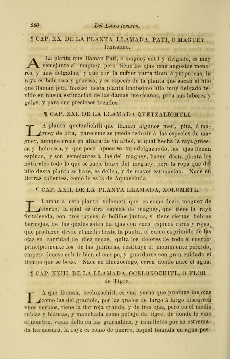 f CAP. XX. DE LA PLANTA LLAMADA, PATI, O MAGUEY lenissiiiio. A La planta que llaman Pati, ó maguey sutil y delgado, es niuy J-\ semejante al maguey, pero tiene las ojas mas angostas meno- res, y mas delgadas, y que por la ra^yor parte tiran á purpureas, la rayz es bebrossa y gruessa, y es especie de la planta que sacan el hilo que llaman pita, bazese desta planta lindissimo hilo muy delgado te- nido en nueua estimación de las damas mexicanas, para sus labores y galas, y para sus preciosos tocados. lí CAP. XXL DE LA LLAMADA QVETZALICHTLL A planta quetzalicbtli que llaman algunos metí, pita, ó ma-^ ^guey de pita, pareceme se puede reduzir á las especies de ma- guey, aunque crece en altura de vn árbol, el qual hecha la rayz grues- sa y bebrossa, y que poco apoco se va adelgazando, las ojas lleuau espinas, y son semejantes á las del maguey, hazen desta planta los naturales todo lo que se guele bazer del maguey, pero la ropa que del hilo desta planta se haze, es delica, y de mayor estimación. Nace en tierras calientes, como lo es la de Aquaechula. II CAP. XXII. DE LA PLANTA LLAMADA, XOLOMETL. I Laman á esta planta xolometl, que es como dezir, maguey de _Jcierbo, la qual es otra especie de maguey, que tiene la rayz fortalecida, con tres rayces, ó bolillos juntas, y tiene ciertas hebras bermejas, de las quales salen las ojas cim vnas espinas raras y rojas, que produzen desde el medio basta la punta, el cumo exprimido de las ojas en cantidad de diez on^as, quita los dolores de todo el cuerpo' principalmente los de las junturas, restituye el mouimiente perdido^ empero deuese cubrir bien el cuerpo, y guardarse con gran cuidado el tiempo que se beue. Nace en Huexocingo, cerca donde nace el agua. Tf CAP. XXIIL DE LA LLAMADA, OCELOXOCHITL, O FLOR de Tigre. LA que llaman, oceloxochitl, es vna yerua que produze las ojas como las del gradiolo, por las quales de largo a largo discurren vDOs nerbios, tiene la flor roja grande, y de tres ojas, pero en el medio rubias y blancas, y manchada como pellejo de tigre, de donde le vino el nombre, vssan della en las guirnaldas, y ramilletes por su estrema- da hermosura, la rayz es como de puerro, laqual tomada cu agua pes-