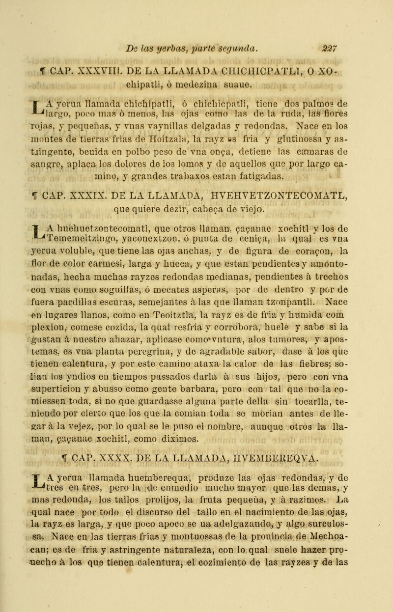 1Í CAP. XXXVIII. DE LA LLAMADA CrilCíIICPATLl, O XO- chipatli, 6 mcdezina suaue. T A yerna llamada chicbipntli, ó chicbicpatli, tiene dos palmos de -■-^largo, po(H) mas ó menos, las ojas coíno las de la ruda, las flores rojas, y peqneñas, y vnas vaynillas delgadas y redondas. Nace en los montes de tierras frías de Hoitzala, la rayz as fria y glntinossa y as- tjingente, benida en polbo peso de vna onga, detiene las caraaras de sangre, aplaca los dolores de los lomos y de aquellos que por largo ca- mino, y grandes trabaxos están fatigadas. 1T CAP. XXXIX. DE LA LLAMADA, HVEHVETZONTECOMATL, que quiere dezir, cabera de viejo. ■J A buebuetzoütecomatl, que otros llaman, cacanac xocbitl y los de .--^Temeraeitzingo, yaconextzon, ó punta de ceniga, la qual es vna yerua voluble, que tiene las ojas anchas, y de figura de corapon, la flor de color carmesí, larga y hueca, y que están pendientes y amonto- nadas, hecha muchas rayzos redondas medianas, pendientes á trecbos con vnas como soguillas, ó mecates ásperas, por de dentro y por de fuera pardillas escuras, semejantes á las que llaman tzonpantli. Nace en lugares llanos, como en Teoitztla, la rayz es de fria y bumida com plexion, cómese cozida, la qual resfria y corrobora, huele y sabe si la gustan á nuestro abazar, aplicase como^vutura, alos tumores, y apos- temas, es vna planta peregrina, y de agradable sabor, dase á los que tienen calentura, y por este camino ataxa la calor de las fiebres; so- lian los yndios en tiempos passados darla á sus hijos, pero con vna superticiou y abusso como gente barbara, pero con tal que no la co- miessen toda, si no que guardasse alguna parte della sin tocarlla, te- niendo por cierto que los que la comian toda so morian antes de lle- gar á la vejez, por lo qual se le puso el nombre, aunque otros la lla- man, faganac socliitl, como diximos. 5Í CAP. XXXX. DE LA LLAMADA, HVEMBEREQVA. T A yerua llamada buemberequa, produze las ojas redondas, y de -*-^tres en tres, pero la de en medio mucbo mayor que las demás, y mas redonda, los tallos prolijos, la fruta pequeña, y á razimos. La qual nace por todo el discurso del tallo en el nacimiento de las ojas, la rayz es larga,.y quo poco apoco se ua adelgazando, y algo surculos- sa. Nace en las tierras frias y montuossas de la prouiucia de Mechoa- can; es de fria y astringente naturaleza, con lo qual suele ha2jer pro- vecho a los que tienen calentura, el cozimiento de las rayzes y de las