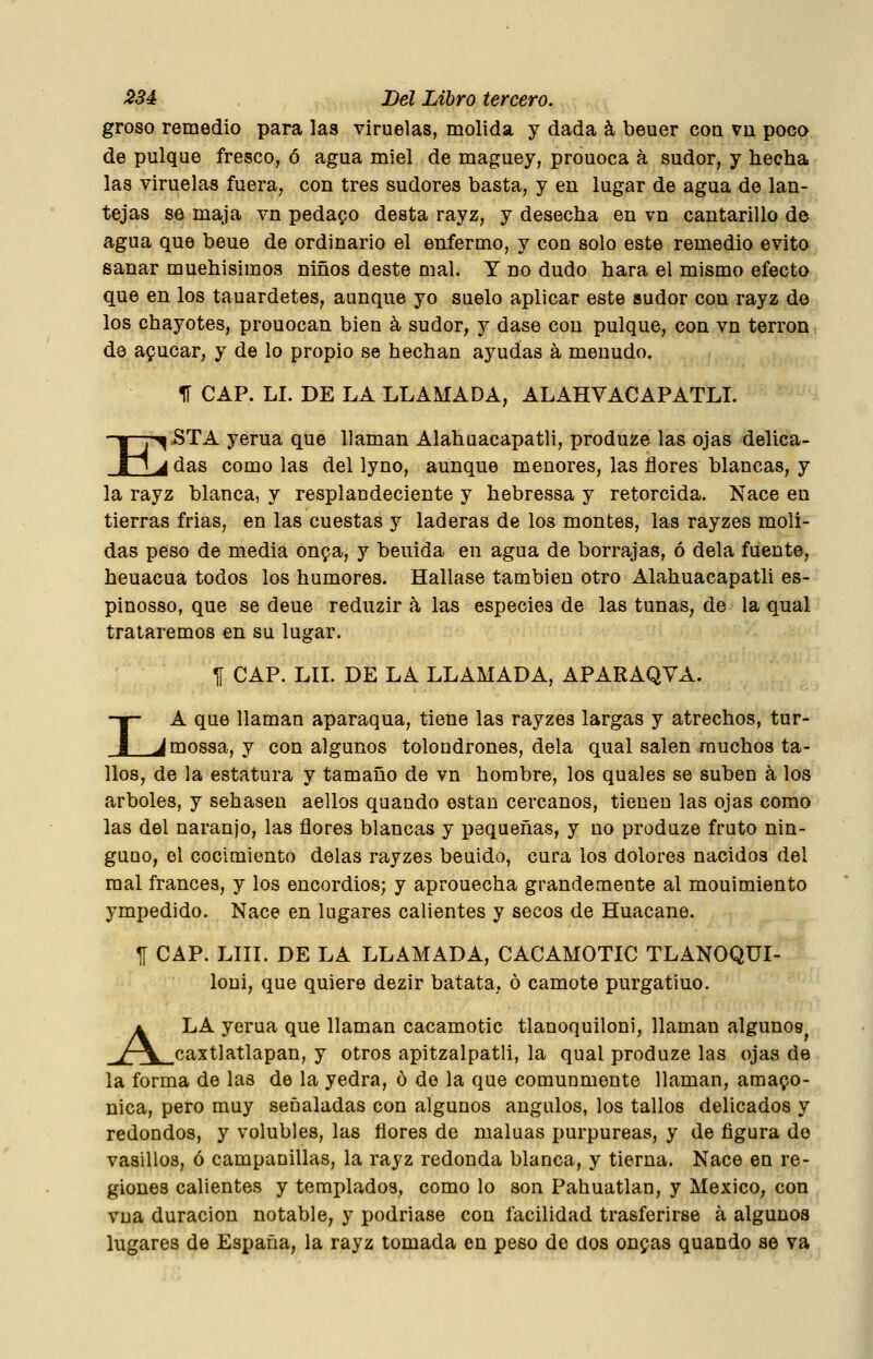 groso remedio para las viruelas, molida y dada á beuer coa vn poco de pulque fresco, ó agua miel de maguey, prouoca á sudor, y hecha las viruelas fuera, con tres sudores basta, y en lugar de agua de lan- tejas se maja vn pedago desta rayz, y desecha en vn cantarillo de agua que beue de ordinario el enfermo, y con solo este remedio evito sanar muehisimos niños deste mal. Y no dudo hará el mismo efecto que en los tauardetes, aunque yo suelo aplicar este sudor con rayz do los chayotes, prouocan bien á sudor, y dase con pulque, con vn terrón de afucar, y de lo propio se hechan ayudas á menudo. 1Í CAP. LI. DE LA LLAMADA, ALAHVACAPATLL E ^5TA yerua que llaman Alahuacapatli, produze las ojas delica- ^ das como las del lyno, aunque menores, las flores blancas, y la rayz blanca, y resplandeciente y hebressa y retorcida. Nace en tierras frias, en las cuestas y laderas de los montes, las rayzes moli- das peso de media on^a, y beuida en agua de borrajas, ó déla fuente, heuacua todos los humores. Hallase también otro Alahuacapatli es- pinosso, que se deue reduzir h las especies de las tunas, de la qual trataremos en su lugar. ^ CAP. LIL DE LA LLAMADA, APARAQVA. I A que llaman aparaqua, tiene las rayzes largas y atrechos, tur- _Jmossa, y con algunos tolondrones, déla qual salen muchos ta- llos, de la estatura y tamaño de vn hombre, los quales se suben á los arboles, y sehasen aellos quando están cercanos, tienen las ojas como las del naranjo, las flores blancas y pequeñas, y no produze fruto nin- guno, el cocimiento délas rayzes beuido, cura los dolores nacidos del mal francés, y los encordios; y aprouecha grandemente al mouimiento ympedido. Nace en lugares calientes y secos de Huacane. ^ CAP. LIIL DE LA LLAMADA, CACAMOTIC TLANOQUI- loni, que quiere dezir batata, ó camote purgatiuo. A LA yerua que llaman cacamotic tlanoquiloni, llaman algunos^ y-V caxtlatlapan, y otros apitzalpatli, la qual produze las ojas de la forma de las de la yedra, ó de la que comunmente llaman, amazó- nica, pero muy señaladas con algunos ángulos, los tallos delicados y redondos, y volubles, las flores de maluas purpureas, y de figura de vasillos, ó campanillas, la rayz redonda blanca, y tierna. Nace en re- giones calientes y templados, como lo son Pahuatlan, y México, con vua duración notable, y podríase con facilidad trasferirse a algunos lugares de España, la rayz tomada en peso de dos onzas quando se va