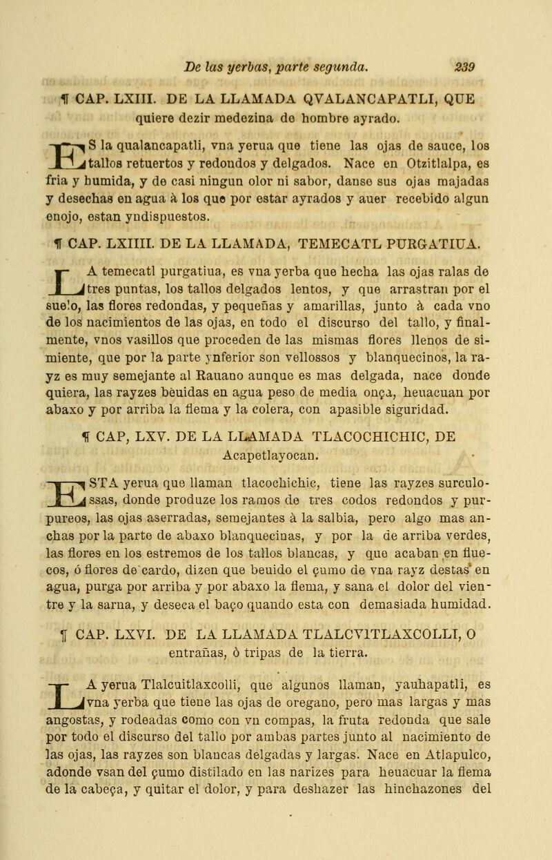 1Í CAP. LXIII. DE LA LLAMADA QVALANCAPATLI, QUE quiere dezir medozina de hombre ayrado. ES la qualancapatli, vna yerua que tiene las ojas de sauce, los tallos retuertos y redondos y delgados. Nace en Otzitlalpa, es fría y húmida, y de casi ningún olor ni sabor, danso sus ojas majadas y desechas en agaa á los que por estar ayrados y auer recebido algún enojo, están yudispuestos. f CAP. LXIIIL DE LA LLAMADA, TEMECATL PURGATIUA. tA temecatl purgatiua, es vna yerba que hecha las ojas ralas de _J tres puntas, los tallos delgados lentos, y que arrastran por el suelo, las flores redondas, y pequeñas y amarillas, junto á cada vno de los nacimientos de las ojas, en todo el discurso del tallo, y final- mente, vnos vasillos que proceden de las mismas flores llenos de si- miente, que por la parte ynferior son vellossos y blanquecinos, la ra- yz es muy semejante al Rauano aunque es mas delgada, nace donde quiera, las rayzes béuidas en agua peso de media on^a, heuacuan por abaxo y por arriba la flema y la colera, con apasible siguridad. 1Í CAP, LXV. DE LA LLAMADA TLACOCHICHIC, DE Acapetlayocan. E ■^ STA yerua que llaman tlacochichic, tiene las rayzes surculo- ^ssas, donde produze los ramos de tres codos redondos y pur- púreos, las ojas aserradas, semejantes á la salbia, pero algo mas an- chas por la parte de abaxo blanquecinas, y por la de arriba verdes^ las flores en los estremos de los tallos blancas, y que acaban en flue- cos, ó flores do cardo, dizen que beuido el 9umo de vna rayz destas' en agua, purga por arriba y por abaxo la flema, y sana el dolor del vien- tre y la sarna, y deseca el bago quando esta con demasiada humidad. T[ CAP. LXVI. DE LA LLAMADA TLALCYITLAXCOLLI, O entrañas, ó tripas de la tierra. I A yerua TlalcuitlaxcoUi, que algunos llaman, yauhapatli, es ^vna yerba que tiene las ojas de orégano, pero mas largas y mas angostas, y rodeadas como con vn compás, la fruta redonda que sale por todo el discurso del tallo por ambas partes junto al nacimiento de las ojas, las rayzes son blancas delgadas y largas. Nace en Atlapulco, adonde vsan del pumo distilado en las narizes para heuacuar la flema de la cabera, y quitar el dolor, y para desbazer las hinchazones del