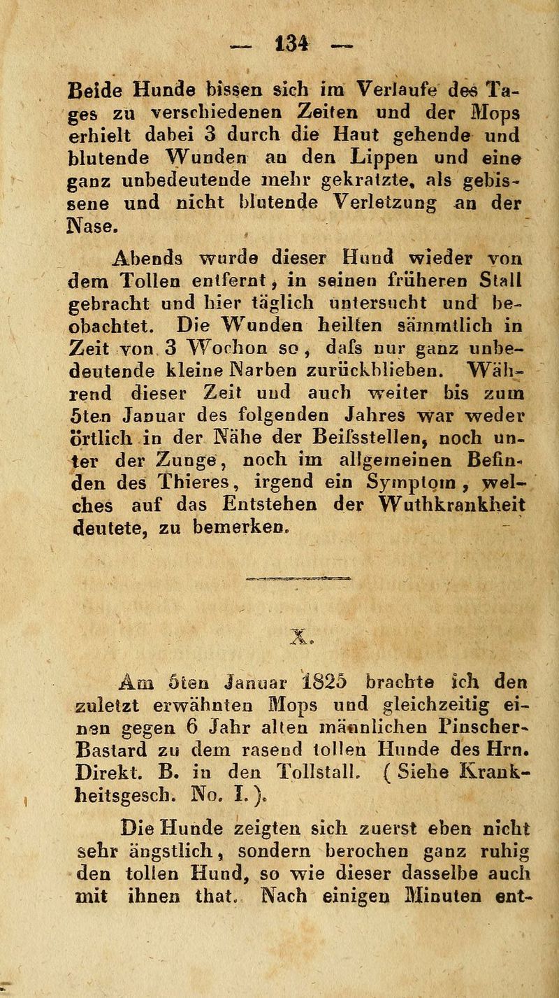 Beide Hunde bissen sich im Verlaufe de« Ta- ges zu verschiedenen Zeiten und der Mops erhielt dabei 3 durch die Haut gehende und blutende Wunden an den Lippen und eine ganz unbedeutende mehr gekratzte, als gebis- sene und nicht blutende Verletzung an der Nase. Abends wurde dieser Hund wieder von dem Tollen entfernt, in seinen früheren Stall gebracht und hier täglich untersucht und be- obachtet. Die Wunden heilten sämmtlich in Zeit von. 3 Worhon so , dafs nur ganz unbe- deutende kleine Warben zurückblieben. Wäh- rend dieser Zeit und auch weiter bis zum 5ten Januar des folgenden Jahres war weder örtlich in der Nähe der Beifsstellen, noch un- ter der Zunge, noch im allgemeinen Befin- den des Thieres, irgend ein Symptom , wel- ches auf das Entstehen der Wuthkrankheit deutete, zu bemerken. Am Sien Januar 1825 brachte ich den zuletzt erwähnten Mops und gleichzeitig ei- usn gegen 6 Jahr alten mä«nlichen Pinscher- Bastard zu dem rasend tollen Hunde des Hrn. Direkt. B. in den Tollstall, (Siehe Krank- heitsgesch. No. I.)» Die Hunde zeigten sich zuerst eben nicht sehr ängstlich, sondern berochen ganz ruhig den tollen Hund, so wie dieser dasselbe auch mit ihnen that. Nach einigen Minuten ent-