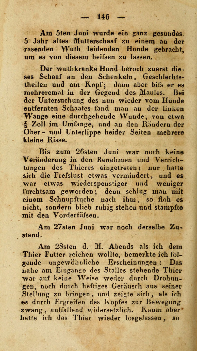 Am 5ten Juni wurde ein ganz gesundes. 5 Jahr altes Mutterscbaaf zu einem an der rasenden Wuth leidenden Hunde gebracht, um es yon diesem beifsen zu lassen. Der wuthkranke Hund beroch zuerst die- ses Schaaf an den Schenkeln, Geschlechts- teilen und am Kopf; dann aber bifs er es mehreremal in der Gegend des JVIaules. Bei der Untersuchung des nun wieder vom Hunde entfernten Schaafes fand man an der linken Wange eine durchgebende Wunde, von etwa f Zoll im Umfange, und an den Rändern der Ober- und Unterlippe beider Seiten mehrere kleine Risse. Bis zum 26sten Juni war noch keine Veränderung in den Benehmen und Verrich* tungen des Tiiieres eingetreten; nur halte sich die Frefslust etwas vermindert, und es war etwas wiederspens*iger und weniger furchtsam geworden; denn schlug man mit einem Schnupftuche nach ihm, so floh es nicht, sondern blieb ruhig stehen und stampfte mit den Vorderftifsen. Am 27sten Juni war noch derselbe Zu- stand. Am 28sten d. M. Abends als ich dem Thier Futter reichen wollte, bemerkte ich fol- gende ungewöhnliche Erscheinungen : Das nahe am Eiugange des Stalles stehende Thier war auf keine Weise weder durch Drohun- gen, noch durch heftiges Geräusch aus seiner Steifung zu bringen, und zeigte sich, als ich es durch Ergreifen des Kopfes zur Bewegung zwang, auffallend widersetzlich. Kaum aber* hatte ich das Thier wieder losgelassen, so