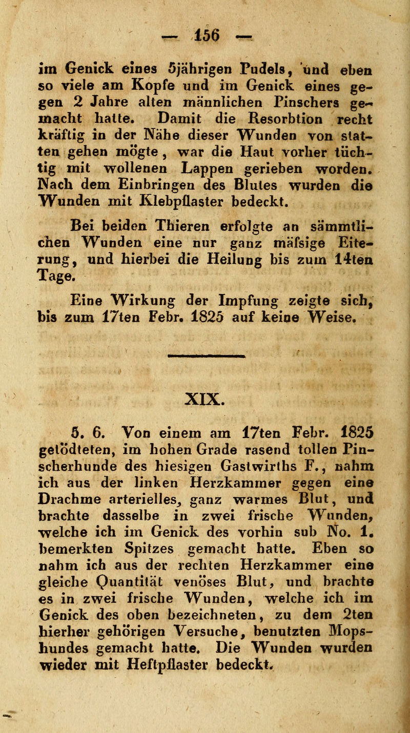 — loa — im Genick eines 5jährigen Pudels, und eben so viele am Kopfe und im Genick eines ge- gen 2 Jahre alten männlichen Pinschers ge- macht hatte. Damit die Resorbtion recht kraftig in der Nähe dieser Wunden von stat- ten gehen mögte, war die Haut vorher tüch- tig mit wollenen Lappen gerieben worden. Wach dem Einbringen des Blutes wurden die Wunden mit Klebpflaster bedeckt. Bei beiden Thieren erfolgte an sämmtli- chen Wunden eine nur ganz mäfsige Eite- rung, und hierbei die Heilung bis zum 14ten Tage. Eine Wirkung der Impfung zeigte sich, bis zum 17ten Febr. 1825 auf keine Weise. XIX. 5. 6. Von einem am 17ten Febr. 1825 gelodteten, im hohen Grade rasend tollen Pin- scherhunde des hiesigen Gastwirths F., nahm ich aus der linken Herzkammer gegen eine Drachme arterielles_, ganz warmes Blut, und brachte dasselbe in zwei frische Wunden, welche ich im Genick des vorhin sub No. 1, bemerkten Spitzes gemacht hatte. Eben so nahm ich aus der rechten Herzkammer eine gleiche Quantität venöses Blut, und brachte es in zwei frische Wunden, welche ich im Genick des oben bezeichneten, zu dem 2ten hierher gehörigen Versuche, benutzten Mops- hundes gemacht hatte. Die Wunden wurden wieder mit Heftpflaster bedeckt.
