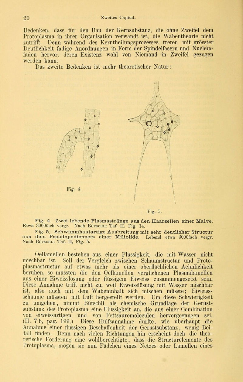 Bedenken, dass für den Bau der Kernsubstanz, die ohne Zweifel dem Protoplasma in ihrer Organisation verwandt ist, die Wabentheorie nicht zutrifft. Denn während des Kerntheilungsprocesses treten mit grösster Deutlichkeit fädige Anordnungen in Form der Spindelfasern und Nuclein- fäden hervor, deren Existenz wohl von Niemand in Zweifel gezogen werden kann. Das zweite Bedenken ist mehr theoretischer Natur: g 9 ■J .1 Fig. 4. Fig. 5. Fig. 4. Zwei lebende Plasmastränge aus den Haarzellen einer Malve. Etwa SOOOfach vergr. Nach Bütschli Taf. II, Fig. 14. Fig. 5. Sehwimmhautartige Ausbreitung mit sehr deutlicher Structur aus dem Pseudopodiennetz einer Miliolide. Lebend etwa SOOOfach vergr. Nach Bütschli Taf. II, Fig. 5. Oellamellen bestehen aus einer Flüssigkeit, die mit Wasser nicht mischbar ist. Soll der Vergleich zwischen Schaumstructur und Proto- plasmastructur auf etwas mehr als einer oberflächlichen Aehnlichkeit beruhen, so inüssten die den Oellamellen verglichenen Plasmalamellen aus einer Eiweisslösung oder flüssigem Eiweiss zusammengesetzt sein. Diese Annahme trifft nicht zu, weil Eiweisslösung mit Wasser mischbar ist, also auch mit dem Wabeninhalt sich mischen müsste; Eiweiss- schäume müssten mit Luft hergestellt werden. Um diese Schwierigkeit zu umgehen, nimmt Bütschli als chemische Grundlage der Gerüst- substanz des Protoplasma eine Flüssigkeit an, die aus einer Combination von eiweissartigen und von Fettsäuremolecülen hervorgegangen sei. (II. 7 b, pag. 199.) Diese Hülfsannahme dürfte, wie überhaupt die Annahme einer flüssigen Beschaffenheit der Gerüstsubstanz, wenig Bei- fall finden. Denn nach vielen Richtungen hin erscheint doch die theo- retische Forderung eine wohlberechtigte, dass die Structurelemente des Protoplasma, mögen sie nun Fädchen eines Netzes oder Lamellen eines