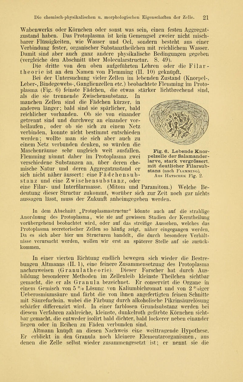 Wabenwerks oder Körnchen oder sonst was sein, einen festen Aggregat- zustand haben. Das Protoplasma ist kein Geraengsel zweier nicht misch- barer Flüssigkeiten, wie Wasser und Oel, sondern besteht aus einer Verbindung fester, organischer Substanztheilchen mit reichlichem Wasser. Damit sind aber auch ganz andere physikalische Bedingungen gegeben (vergleiche den Abschnitt über Molecularstructur. S. 49). Die dritte von den oben aufgeführten Lehren oder die Filar- theorie ist an den Namen von Flemming (IL 10) geknüpft. Bei der Untersuchung vieler Zellen im lebenden Zustand (Knorpel-, Leber-, Bindegewebs-, Ganglienzellen etc.) beobachtete Flemming im Proto- plasma (Fig. 6) feinste Fädchen, die etwas stärker lichtbrechend sind, als die sie trennende Zwischensubstanz. In manchen Zellen sind die Fädchen kürzer, in anderen länger; bald sind sie spärlicher, bald reichlicher vorhanden. Ob sie von einander getrennt sind und durchweg an einander vor- beilaufen, oder ob sie sich zu einem Netz verbinden, konnte nicht bestimmt entschieden werden; wollte man sie sich aber auch zu einem Netz verbunden denken, so würden die Maschenräume sehr ungleich weit ausfallen. Flemming nimmt daher im Protoplasma zwei verschiedene Substanzen an, über deren che- mische Natur und deren Aggregatzustand er sich nicht näher äussert: eine Fädchensub- stanz und eine Zwischensubstanz, oder eine Filar- und Interfilarmasse. (Mitom und Paramitom.) Welche Be- deutung dieser Structur zukommt, worüber sich zur Zeit noch gar nichts aussagen lässt, muss der Zukunft anheimgegeben werden. Fig. e. Lebende Knor- pelzelle der Salamander- larve, stark vergrössert, mit deutlicher Filar Sub- stanz (nach Flkmming). Alis Hatschek Fig'. 2. In dem Abschnitt „Protoplasmastructur könnte auch auf die strahlige Anordnung des Protoplasma, wie sie auf gewissen Stadien der Kerntheilung vorübergehend beobachtet wird, oder auf das streifige Ausselien, welches das Protoplasma secretorischer Zellen so häufig zeigt, näher eingegangen werden. Da es sich aber hier um Structuren handelt, die durch besondere Verhält- nisse verursacht werden, wollen wir erst an späterer Stelle auf sie zurück- kommen. In einer vierten Richtung endlich bewegen sich wieder die Bestre- bungen Altmanns (IL 1), eine feinere Zusammensetzung des Protoplasma nachzuweisen (Granulatheorie). Dieser Forscher hat durch Aus- bildung besonderer Methoden im Zellenleib kleinste Theilchen sichtbar gemacht, die er als Granula bezeichnet. Er conservirt die Organe in einem Gemisch von 5 *^/o Lösung von Kaliumbichromat und von 2 ^/oiger Ueberosmiumsäure und färbt die von ihnen angefertigten feinen Schnitte mit Säurefuchsin, wobei die Färbung durch alkoholische Pikrinsäurelösung schärfer differenzirt wird. In einer farblosen Grundsubstanz w^erden bei diesem Verfahren zahlreiche, kleinste, dunkelroth gefärbte Körnchen sicht- bar gemacht, die entweder isolirt bald dichter, bald lockerer neben einander liegen oder in Reihen zu Fäden verbunden sind. Altmann knüpft an diesen Nachweis eine weittragende Hypothese. Er erblickt in den Granula noch kleinere Elementarorganismen, aus denen die Zelle selbst wieder zusammengesetzt ist; er nennt sie die