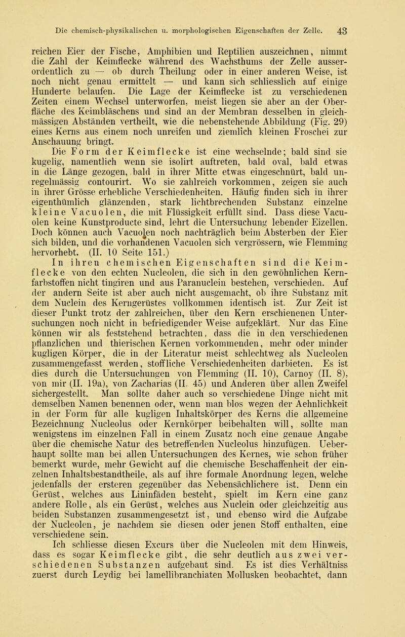 reichen Eier der Fische, Amphibien und Reptilien auszeichnen, nimmt die Zahl der Keimflecke während des Wachsthums der Zelle ausser- ordentlich zu — ob durch Theilung; oder in einer anderen Weise, ist noch nicht genau ermittelt — und kann sich schliesslich auf einige Hunderte belaufen. Die Lage der Keimflecke ist zu verschiedenen Zeiten einem Wechsel unterworfen, meist liegen sie aber an der Ober- fläche des Keimbläschens und sind an der Membran desselben in gleich- massigen Abständen vertheilt, wie die nebenstehende Abbildung (Fig. 29) eines Kerns aus einem noch unreifen und ziemlich kleinen Froschei zur Anschauung bringt. Die Form der Keimflecke ist eine wechselnde; bald sind sie kugelig, namentlich wenn sie isolirt auftreten, bald oval, bald etwas in die Länge gezogen, bald in ihrer Mitte etwas eingeschnürt, bald un- regelmässig contourirt. Wo sie zahlreich vorkommen, zeigen sie auch in ihrer Grösse erhebliche Verschiedenheiten. Häufig finden sich in ihrer eigenthümlich glänzenden, stark lichtbrechenden Substanz einzelne kleine Vacuolen, die mit Flüssigkeit erfüllt sind. Dass diese Vacu- olen keine Kunstproducte sind, lehrt die Untersuchung lebender Eizellen. Doch können auch Vacuolen noch nachträglich beim Absterben der Eier sich bilden, und die vorhandenen Vacuolen sich vergrössern, wie Flemming hervorhebt. (H. 10 Seite 15L) In ihren chemischen Eigenschaften sind die Keim- flecke von den echten Nucleolen, die sich in den gewöhnlichen Kern- farbstoffen nicht tingiren und aus Paranuclein bestehen, verschieden. Auf der andern Seite ist aber auch nicht ausgemacht, ob ihre Substanz mit dem Nuclein des Kerngerüstes vollkommen identisch ist. Zur Zeit ist dieser Punkt trotz der zahlreichen, über den Kern erschienenen Unter- suchungen noch nicht in befriedigender Weise aufgeklärt. Nur das Eine können wir als feststehend betrachten, dass die in den verschiedenen pflanzlichen und thierischen Kernen vorkommenden, mehr oder minder kugligen Körper, die in der Literatur meist schlechtweg als Nucleolen zusammengefasst werden, stoffliche Verschiedenheiten darbieten. Es ist dies durch die Untersuchungen von Flemming (H. 10), Carnoy (H. 8), von mir {II. 19a), von Zacharias (II. 45) und Anderen über allen Zweifel sichergestellt. Man sollte daher auch so verschiedene Dinge nicht mit demselben Namen benennen oder, wenn man blos wegen der Aehnlichkeit in der Form für alle kugligen Inhaltskörper des Kerns die allgemeine Bezeichnung Nucleolus oder Kernkörper beibehalten will, sollte man wenigstens im einzelnen Fall in einem Zusatz noch eine genaue Angabe über die chemische Natur des betreffenden Nucleolus hinzufügen. Ueber- haupt sollte man bei allen Untersuchungen des Kernes, wie schon früher hemerkt wurde, mehr Gewicht auf die chemische Beschaffenheit der ein- zelnen Inhaltsbestandtheile, als auf ihre formale Anordnung legen, welche jedenfalls der ersteren gegenüber das Nebensächlichere ist. Denn ein Gerüst, welches aus Lininfäden besteht, spielt im Kern eine ganz andere Rolle, als ein Gerüst, welches aus Nuclein oder gleichzeitig aus beiden Substanzen zusammengesetzt ist, und ebenso wird die Aufgabe der Nucleolen, je nachdem sie diesen oder jenen Stoff enthalten, eine verschiedene sein. Ich schliesse diesen Excurs über die Nucleolen mit dem Hinweis, dass es sogar Keimflecke gibt, die sehr deutlich aus zwei ver- schiedenen Substanzen aufgebaut sind. Es ist dies Verhältniss zuerst durch Leydig bei lamellibranchiaten Mollusken beobachtet, dann
