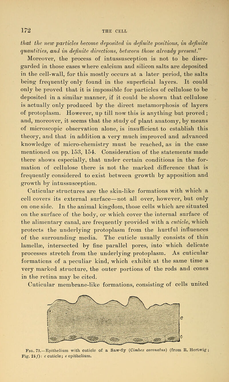 that the new particles become deposited in definite positions, in definite quantities, and in definite directions, between those already present. Moreover, the process of intussusception is not to be disre- garded in those cases where calcium and silicon salts are deposited in the cell-wall, for this mostlj occurs at a later period, the salts being fi^equently only found in the superficial layers. It could only be proved that it is impossible for particles of cellulose to be deposited in a similar manner, if it could be shown that cellulose is actually only produced by the direct metanioi^phosis of layers of protoplasm. However, up till now this is anything but proved; and, moreover, it seems that the study of plant anatomy, by means of microscopic observation alone, is insufficient to establish this theory, and that in addition a very much improved and advanced knowledge of micro-chemistry must be reached, as in the case mentioned on pp. 153, 154. Consideration of the statements made there shows especially, that under certain conditions in the for- mation of cellulose there is not the marked difference that is frequently considered to exist between growth by apposition and growth by intussusception. Cuticular structures are the skin-like formations with which a cell covers its external surface—not all over, however, but only on one side. In the animal kingdom, those cells which are situated on the surface of the body, or which cover the internal surface of the alimentary canal, are frequently provided with a cuticle, which protects the underlying protoplasm from the hurtful influences of the surrounding media. The cuticle usually consists of thin lamellge, intersected by fine parallel pores, into which delicate processes stretch from the underlying protoplasm. As cuticular formations of a peculiar kind, which exhibit at the same time a very marked structure, the outer portions of the rods and cones in the retina may be cited. Cuticular membrane-like formations, consisting of cells united Fig. 73.—Epithelium with cuticle of a Saw-fly {Cimhex coronatus) (from E. Hertwig Fig. 21/); c cuticle; e epithelium.