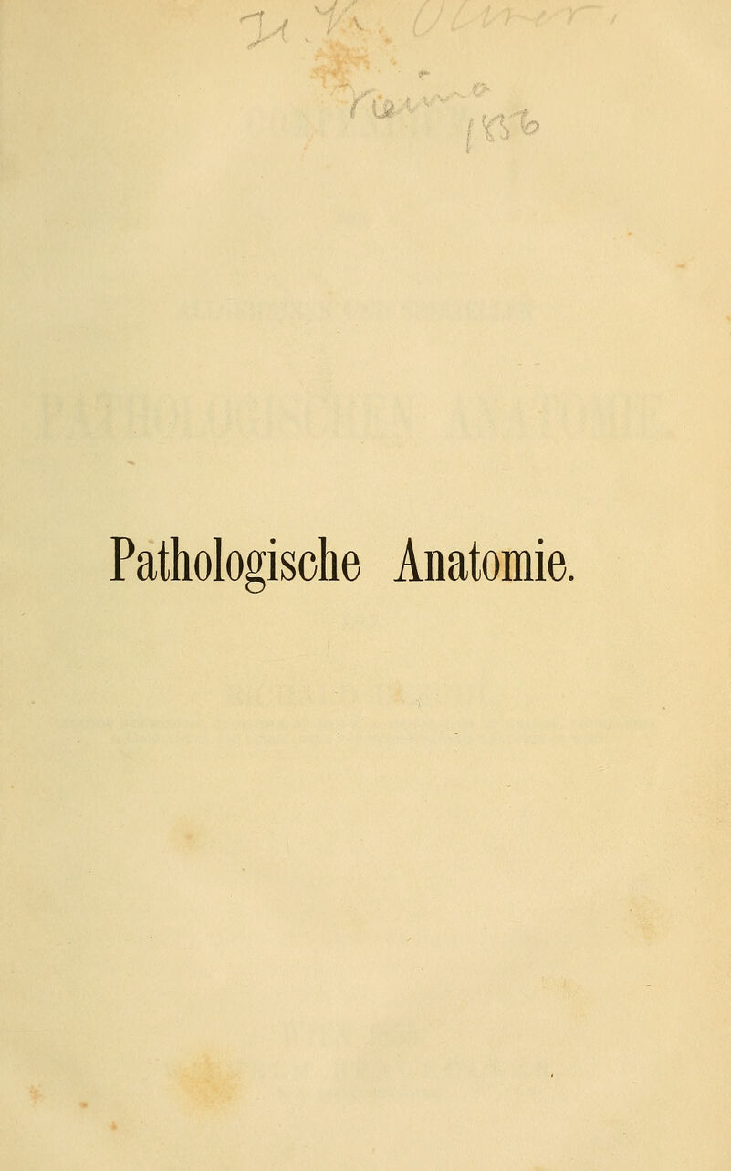 rh Pathologische Anatomie.