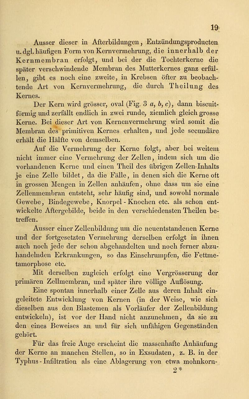 Ausser dieser in Afterbildungen, Entzündungsproducten u. dgl.häufigen Form von Kernvermehrung, die innerhalb der Kernmembran erfolgt, und bei der die Tochterkerne die später verschwindende Membran des Mutterkernes ganz erfül- len, gibt es noch eine zweite, in Krebsen öfter zu beobach- tende Art von Kernvermehrung, die durch Theilung des Kernes. Der Kern wird grösser, oval (Fig. 3 a, b, c), dann biscuit- förmig und zerfällt endlich in zwei runde, ziemlich gleich grosse Kerne. Bei dieser Art von Kernenvermehrung wird somit die Membran des primitiven Kernes erhalten, und jede secundäre erhält die Hälfte von demselben. Auf die Vermehrung der Kerne folgt, aber bei weitem nicht immer eine Vermehrung der Zellen, indem sich um die vorhandenen Kerne und einen Theil des übrigen Zellen-Inhalts je eine Zelle bildet, da die Fälle, in denen sich die Kerne oft in grossen Mengen in Zellen anhäufen, ohne dass um sie eine Zellenmembran entsteht, sehr häufig sind, und sowohl normale Gewebe, Bindegewebe, Knorpel - Knochen etc. als schon ent- wickelte Aftergebilde, beide in den verschiedensten Theilen be- treffen. Ausser einer Zellenbildung um die neuentstandenen Kerne und der fortgesetzten Vermehrung derselben erfolgt in ihnen auch noch jede der schon abgehandelten und noch ferner abzu- handelnden Erkrankungen, so das Einschrumpfen, die Fettme- tamorphose etc. Mit derselben zugleich erfolgt eine Vergrösserung der primären Zellmembran, und später ihre völlige Auflösung. Eine spontan innerhalb einer Zelle aus deren Inhalt ein- geleitete Entwicklung von Kernen (in der Weise, wie sich dieselben aus den Blastemen als Vorläufer der Zellenbildung entwickeln), ist vor der Hand nicht anzunehmen, da sie zu den eines Beweises an und für sich unfähigen Gegenständen gehört. Für das freie Auge erscheint die massenhafte Anhäufung der Kerne an manchen Stellen, so in Exsudaten, z. B. in der Typhus - Infiltration als eine Ablagerung von etwa mohnkorn-, 2*