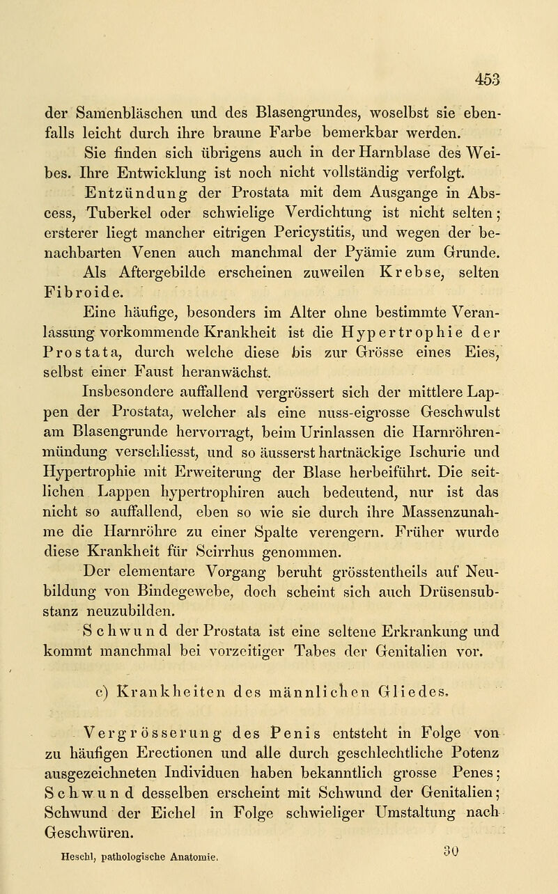 der Samenbläschen und des Blasengrundes, woselbst sie eben- falls leicht durch ihre braune Farbe bemerkbar werden. Sie finden sich übrigens auch in der Harnblase des Wei- bes. Ihre Entwicklung ist noch nicht vollständig verfolgt. Entzündung der Prostata mit dem Ausgange in Abs- cess, Tuberkel oder schwielige Verdichtung ist nicht selten; ersterer liegt mancher eitrigen Pericystitis, und wegen der be- nachbarten Venen auch manchmal der Pyämie zum Grunde. Als Aftergebilde erscheinen zuweilen Krebse, selten Fibroide. Eine häufige, besonders im Alter ohne bestimmte Veran- lassung vorkommende Krankheit ist die Hypertrophie der Prostata, durch welche diese bis zur Grösse eines Eies, selbst einer Faust heranwächst. Insbesondere auffallend vergrössert sich der mittlere Lap- pen der Prostata, welcher als eine nuss-eigrosse Geschwulst am Blasengrunde hervorragt, beim Urinlassen die Harnröhren- mündung verschliesst, und so äusserst hartnäckige Ischurie und Hypertrophie mit Erweiterung der Blase herbeiführt. Die seit- lichen Lappen hypertrophiren auch bedeutend, nur ist das nicht so auffallend, eben so wie sie durch ihre Massenzunah- me die Harnröhre zu einer Spalte verengern. Früher wurde diese Krankheit für Scirrhus genommen. Der elementare Vorgang beruht grösstentheils auf Neu- bildung von Bindegewebe, doch scheint sich auch Drüsensub- stanz neuzubilden. Schwund der Prostata ist eine seltene Erkrankung und kommt manchmal bei vorzeitiger Tabes der Genitalien vor. c) Krankheiten des männlichen Gliedes, Verg r össerung des Penis entsteht in Folge von zu häufigen Erectionen und alle durch geschlechtliche Potenz ausgezeichneten Individuen haben bekanntlich grosse Penes; S c h w u n d desselben erscheint mit Schwund der Genitalien; Schwund der Eichel in Folge schwieliger Umstaltung nach Geschwüren. Heschl, pathologische Anatomie. ^^