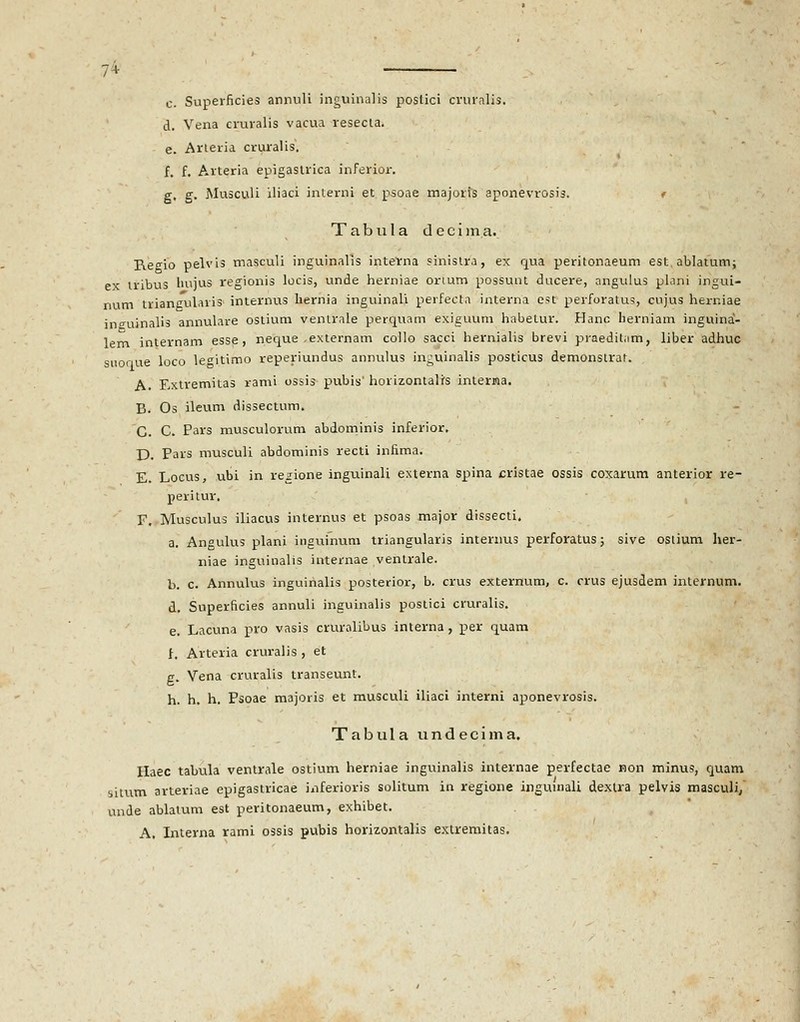 c. Superficies annuli inguinalis postici cvuralis. d. Vena cruralis vacua resecta. e. Arteria cruralis. f. f. Arteria epigastrica inferior. g. g. JMusculi iliaci interni et psoae majoris aponevrosis. Tabula decima. Ke^io pelvis masculi inguinalis intetna sinistra, ex qua peritonaeum est.ablatum; ex tribus hujus regionis locis, unde herniae orium possunt ducere, angulus plani ingui- num triangulariS' internus bernia inguinali perfecta interna est perforatus, cujus herniae inguinalis annulare ostium ventrale perquam exiguum habetur. Hanc herniam inguina- lem internam esse, neque ,externam collo sacci hernialis brevi praeditam, liber adhuc suoque loco le^itimo reperiundus annulus inguinalis posticus demonstrat. A. Extremitas rami ossis pubis' horizontalrs interma. B. Os ileum dissectum. C. C. Pars musculorum abdominis inferior. D. Pars musculi abdominis recti infima. E. Locus, ubi in regione inguinali externa spina cristae ossis coxarum anterior re- peritur. F. Musculus iliacus internus et psoas major dissecti. a. Angulus plani inguinum triangularis internus perforatus; sive osiium her- niae inguinalis internae ventrale. b. c. Annulus inguirialis posterior, b. crus externum, c. crus ejusdem internum. d. Superficies annuli inguinalis postici cruralis. e. Lacuna pro vasis cruralibus interna , per quam f. Arteria cruralis , et g. Vena cruralis transeunt. h. h. h. Psoae majoris et musculi iliaci interni aponevrosis. Tabula undecima. Haec tabula ventrale ostium herniae inguinalis internae perfectae non minus, quam situm arteriae epigastricae inferioris solitum in regione ingmnali dexlra pelvis masculi/ unde ablatum est peritonaeum, exhibet. A. Interna rami ossis pubis horizontalis extremitas.