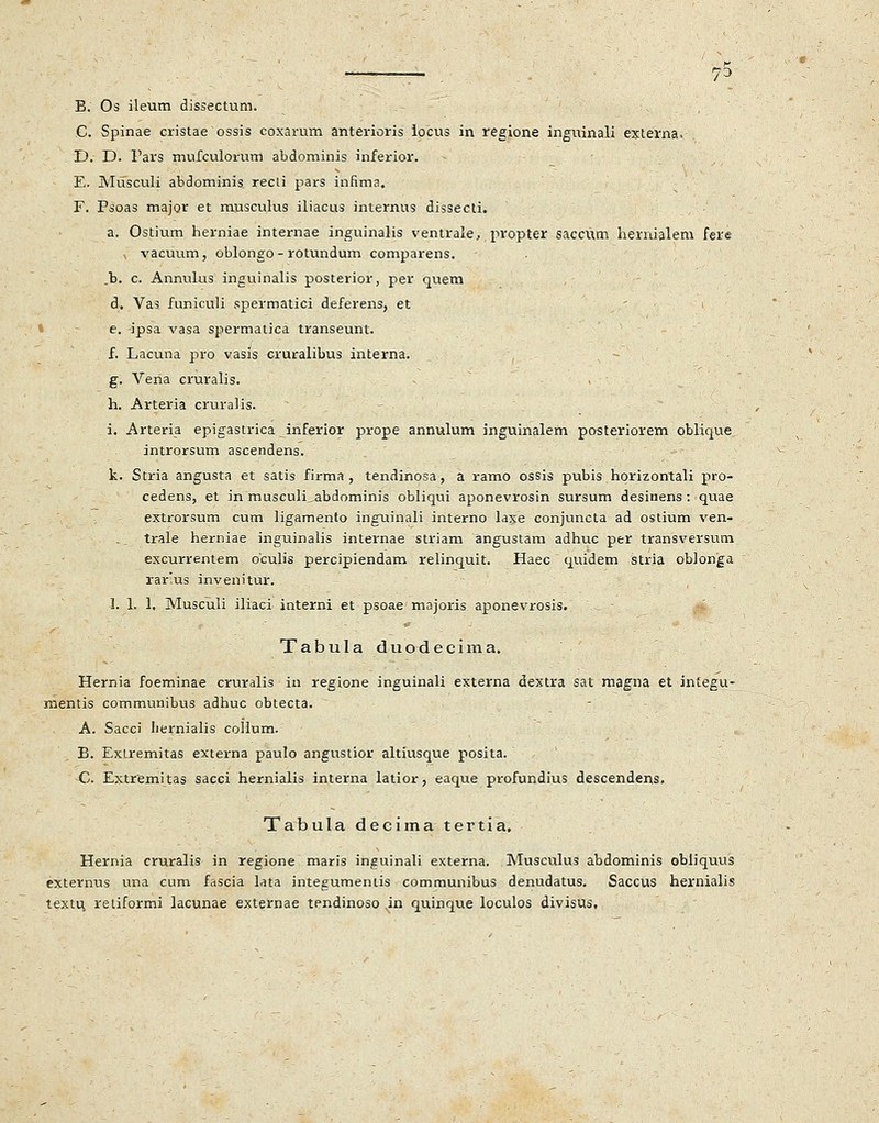 C. Spinae cristae ossis coxarum anterioris locus in regione inguinali externa* D. D. Fars mufculorum abdominis inferior. E. Musculi abdominis recLi pars infima. F. Psoas major et musculus iliacus internus dissecti. a, Ostium herniae internae inguinalis ventrale, propter saccum hernialem fere \ vacuum, oblongo-rotundum comparens. .b. c. Annulus inguinalis posterior, per quem d. Vas funiculi spermatici deferens, et e. -ipsa vasa spermatica transeunt. f. Lacuna pro vasis cruralibus interna. g. Veiia cruralis. h. Arteria cruralis. i. Arteria epigastrica inferior prope annulum inguinalem posteriorem oblique. introrsum ascendens. k. Stria angusta et satis firma , tendinosa, a ramo ossis pubis horizontali pro- cedens, et in musculi„abdominis obliqui aponevrosin sursum desinens : quae extrorsum cum ligamento inguinali interno laxe conjuncta ad ostium ven- trale herniae inguinalis internae striam angustam adhuc per transversum excurrentem oculis percipiendam relinquit. Haec quidem stria oblonga rar'us invenitur. 1. 1. 1, Musculi iliaci interni et psoae majoris aponevrosis. Tabula duodecima. Hernia foeminae cruralis in regione inguinali externa dextra sat magna et integu- mentis communibus adhuc obtecta. A. Sacci Iiernialis collum. B. Exlremitas externa paulo angustior altiusque posita. C. Extremitas sacci hernialis interna latior, eaque profundius descendens. Tabula decima tertia. Hernia cruralis in regione maris inguinali externa. Musculus abdominis obliquus externus una cum fascia lata integumemis communibus denudatus. Saccus hernialis textu, retiformi lacunae externae tendinoso in quinque loculos divisus.