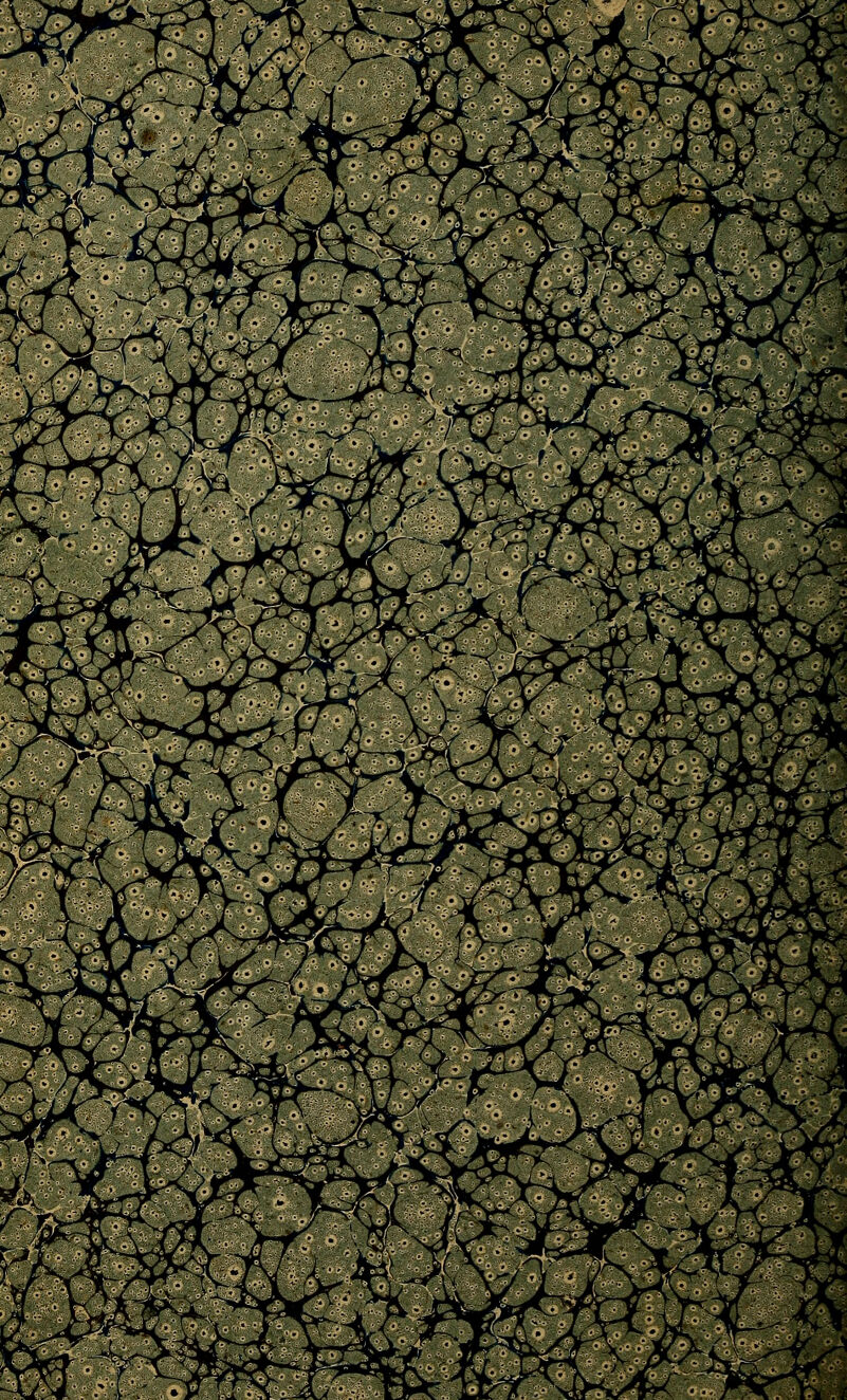 * T» ^\ #* J ■ * y i3- • ' '-^^ NvJ< V' !m•' ' •,'•'.'.'•'' E •■•■•*' ' ' ■'.*_* ■ N^~ !-•*•'• .M ' I ~\l ■■'*?