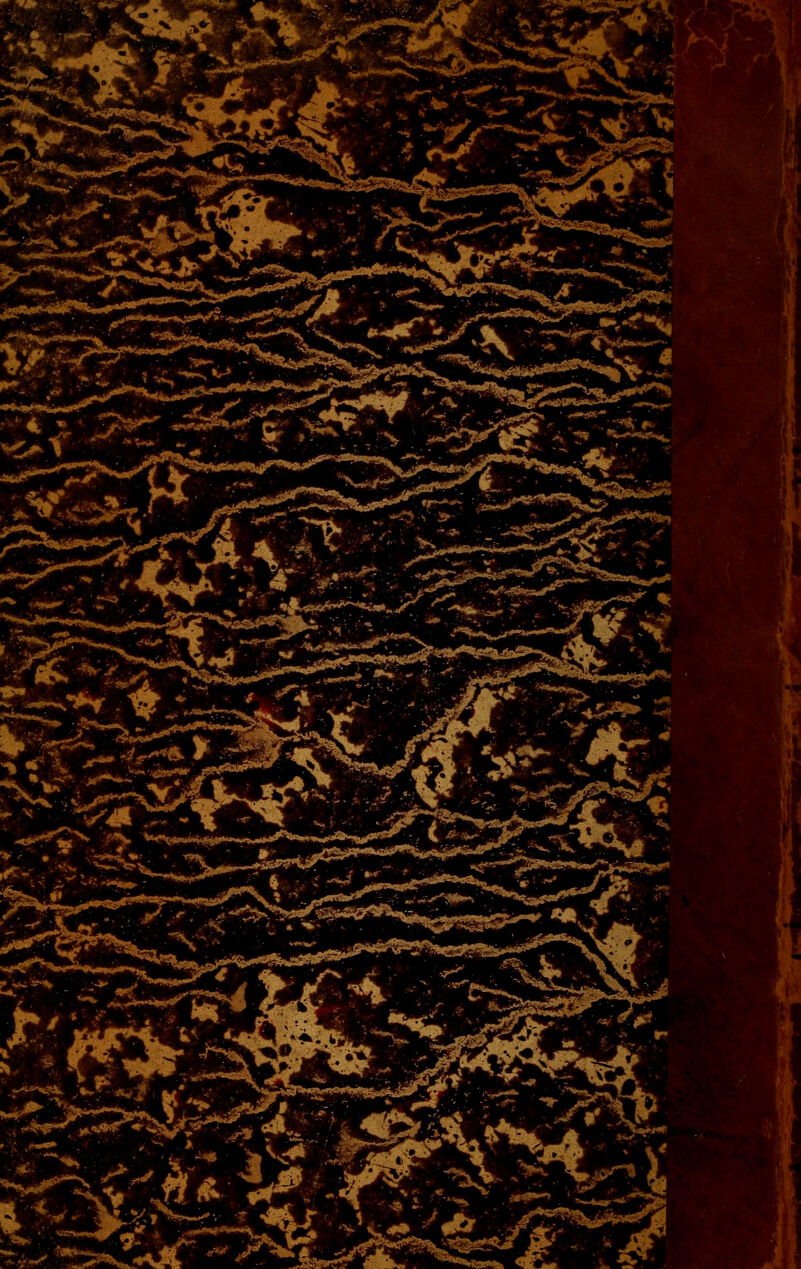 **:«*J* :2^ k rA* *. _T** * S /^-VVN, .^_. •Wj**^*»*^ tffj^f* , S l 1W * V.M * M ** *-P $fc* *t2#»w*\flt V-4* ah? «fe£*U