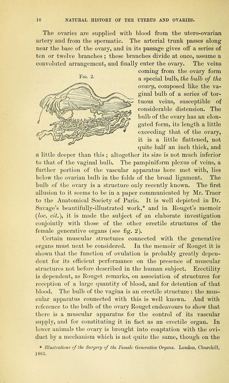 Fig. 2. The ovaries are supplied with blood from the utero-ovarian artery and from the spermatic. The arterial trunk passes along near the base of the ovary, and in its passage gives off a series of ten or twelve branches ; these branches divide at once, assume a convoluted arrangement, and finally enter the ovary. The veins coming from the ovary form a special bulb, the bulb of the ovary, composed like the va- ginal bulb of a series of tor- tuous veins, susceptible of considerable distension. The bulb of the ovary has an elon- gated form, its length a little exceeding that of the ovary, it is a little flattened, not quite half an inch thick, and a little deeper than this ; altogether its size is not much inferior to that of the vaginal bulb. The pampiniform plexus of veins, a further portion of the vascular apparatus here met with, lies below the ovarian bulb in the folds of the broad ligament. The bulb of the ovary is a structure only recently known. The first allusion to it seems to be in a paper communicated by Mr. Traer to the Anatomical Society of Paris. It is well depicted in Dr. Savage's beautifully-illustrated work,* and in Eouget's memoir (loc.cit.), it is made the subject of an elaborate investigation conjointly with those of the other erectile structures of the female generative organs (see fig. 2). Certain muscular structures connected with the generative organs must next be considered. In the memoir of Rouget it is shown that the function of ovulation is probably greatly depen- dent for its efficient performance on the presence of muscular structures not before described in the human subject. Erectility is dependent, as Eouget remarks, on association of structures for reception of a large quantity of blood, and for detention of that blood. The bulb of the vagina is an erectile structure : the mus- cular apparatus connected with this is well known. And with reference to the bulb of the ovary Rouget endeavours to show that there is a muscular apparatus for the control of its vascular supply, and for constituting it in fact as an erectile organ. In lower animals the ovary is brought into coaptation with the ovi- duct by a mechanism which is not quite the same, though on the * Illustrations of the Surgery of the Female Generative Organs. London, Churchill, 1863.