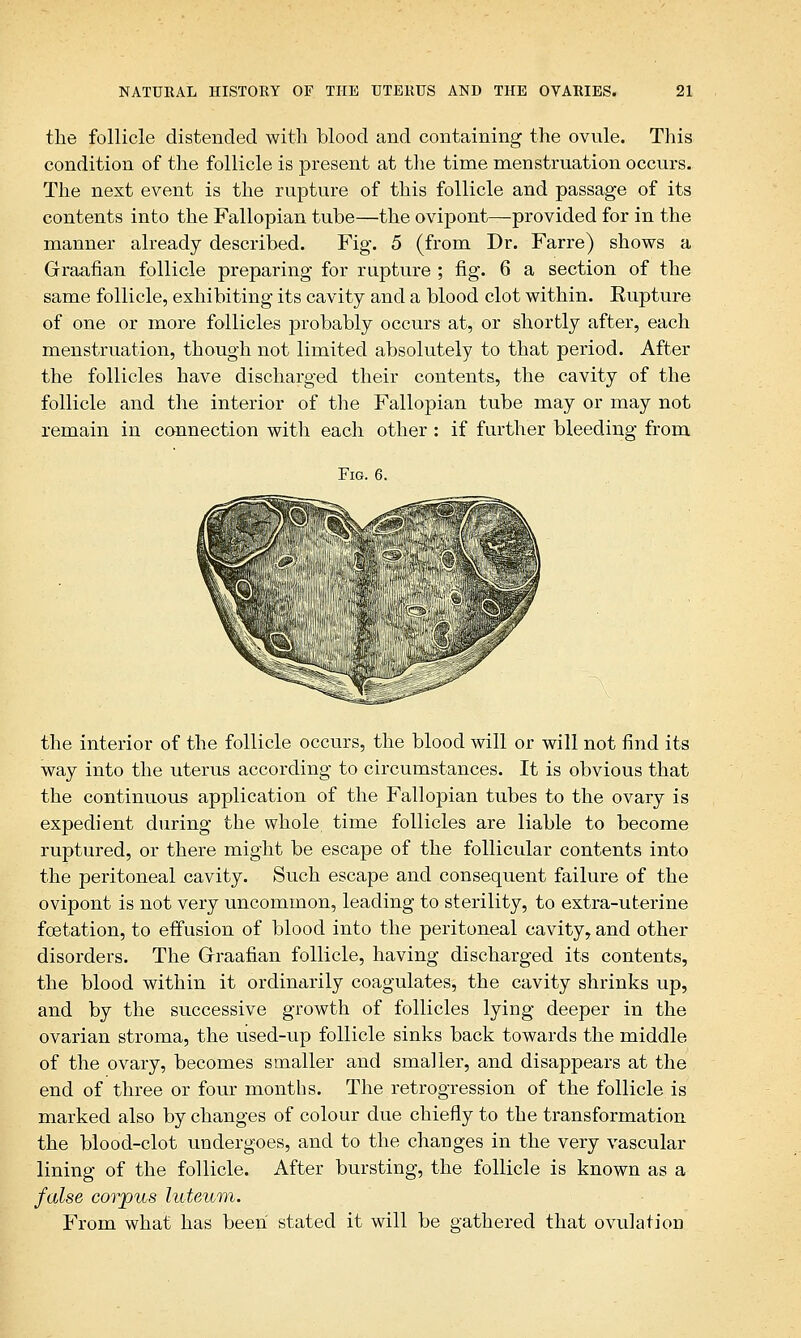 the follicle distended with blood and containing the ovule. This condition of the follicle is present at the time menstruation occurs. The next event is the rupture of this follicle and passage of its contents into the Fallopian tube—the ovipont—provided for in the manner already described. Fig. 5 (from Dr. Farre) shows a Graafian follicle preparing for rupture ; fig. 6 a section of the same follicle, exhibiting its cavity and a blood clot within. Eupture of one or more follicles probably occurs at, or shortly after, each menstruation, though not limited absolutely to that period. After the follicles have discharged their contents, the cavity of the follicle and the interior of the Fallopian tube may or may not remain in connection with each other : if further bleeding from Fig. 6. the interior of the follicle occurs, the blood will or will not find its way into the uterus according to circumstances. It is obvious that the continuous application of the Fallopian tubes to the ovary is expedient during the whole time follicles are liable to become ruptured, or there might be escape of the follicular contents into the peritoneal cavity. Such escape and consequent failure of the ovipont is not very uncommon, leading to sterility, to extra-uterine fcetation, to effusion of blood into the peritoneal cavity, and other disorders. The Graafian follicle, having discharged its contents, the blood within it ordinarily coagulates, the cavity shrinks up, and by the successive growth of follicles lying deeper in the ovarian stroma, the used-up follicle sinks back towards the middle of the ovary, becomes smaller and smaller, and disappears at the end of three or four months. The retrogression of the follicle is marked also by changes of colour due chiefly to the transformation the blood-clot undergoes, and to the changes in the very vascular lining of the follicle. After bursting, the follicle is known as a false corpus luteum. From what has been stated it will be gathered that ovulation