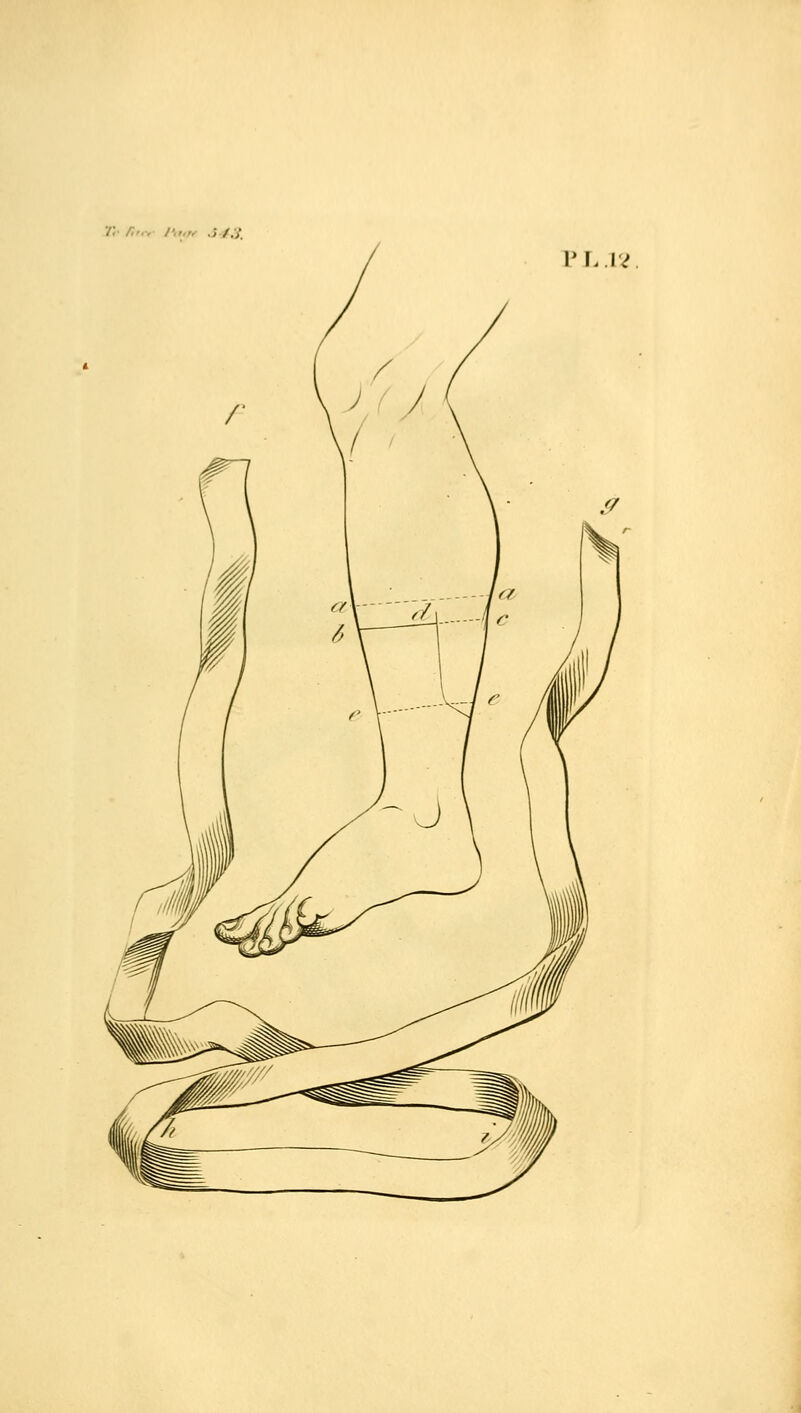 /;• r.x-, i:„„ .sj:i_ v\. ^^