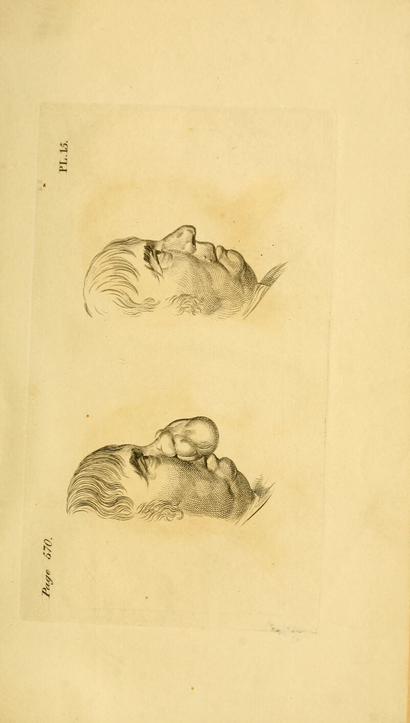 Vv'^*' ''»?l?# -?/ I //'