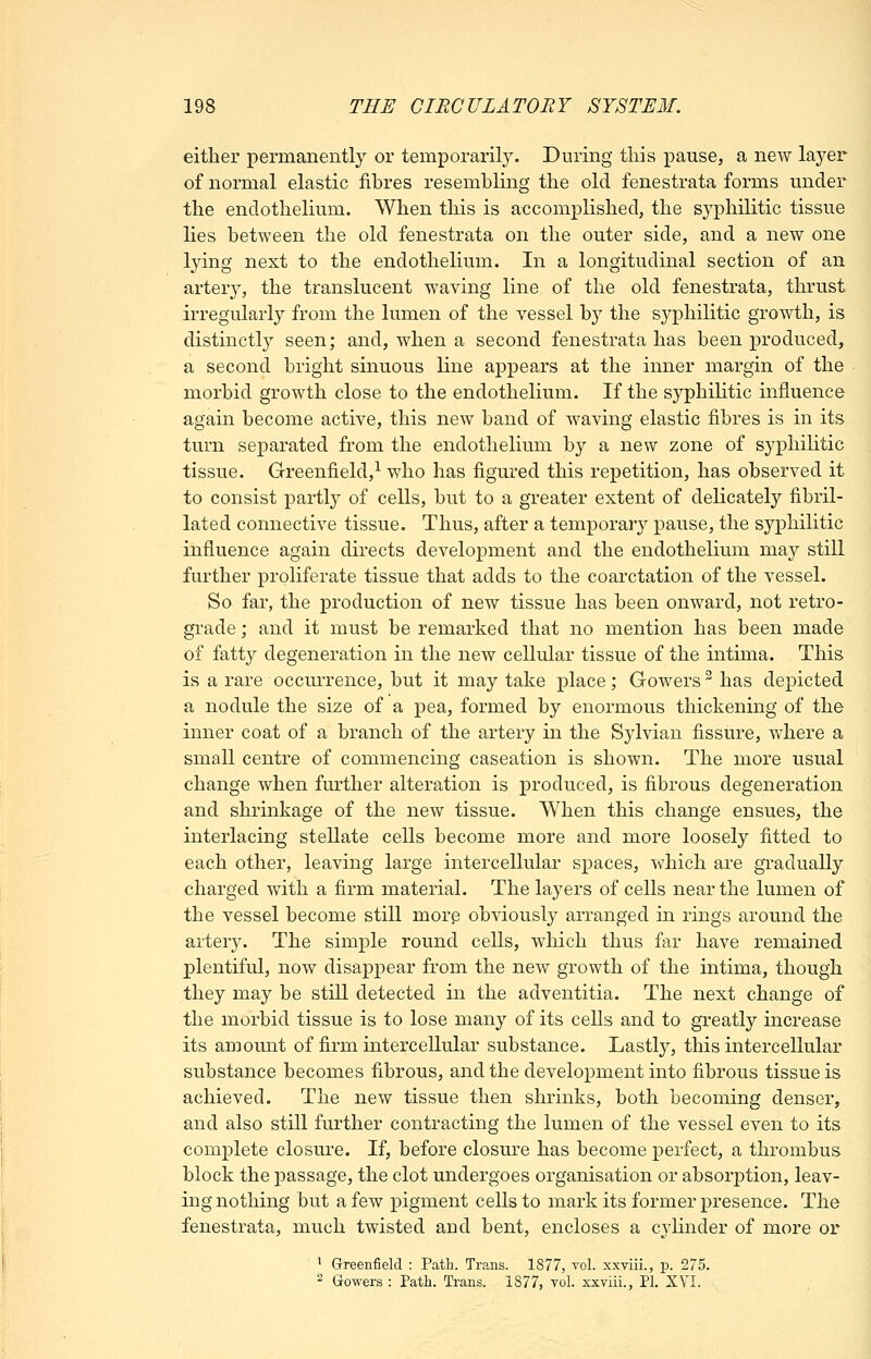 either permanently or temporarily. During this pause, a new layer of normal elastic fibres resembling the old fenestrata forms under the endothelium. When this is accomplished, the syphilitic tissue lies between the old fenestrata on the outer side, and a new one lying next to the endothelium. In a longitudinal section of an artery, the translucent waving line of the old fenestrata, thrust irregularly from the lumen of the vessel by the S3^philitic growth, is distinctly seen; and, when a second fenestrata has been produced, a second bright sinuous line appears at the inner margin of the morbid growth close to the endothelium. If the syphilitic influence again become active, this new band of waving elastic fibres is in its turn separated from the endothelium by a new zone of syphilitic tissue. Greenfield,-^ who has figured this repetition, has observed it to consist partly of cells, but to a greater extent of delicately fibril- lated connective tissue. Thus, after a temporary pause, the syphilitic influence again directs development and the endothelium may still further proliferate tissue that adds to the coarctation of the vessel. So far, the production of new tissue has been onward, not retro- grade ; and it must be remarked that no mention has been made of fatty degeneration in the new cellular tissue of the intima. This is a rare occurrence, but it may take place; Gowers ^ has depicted a nodule the size of a pea, formed by enormous thickening of the inner coat of a branch of the artery in the Sylvian fissure, where a small centre of commencing caseation is shown. The more usual change when further alteration is produced, is fibrous degeneration and shrinkage of the new tissue. When this change ensues, the interlacing stellate cells become more and more loosely fitted to each other, leaving large intercellular spaces, which are gradually charged with a firm material. The layers of cells near the lumen of the vessel become still morp obviously arranged in rings around the artery. The simple round cells, which thus far have remained plentiful, now disappear from the new growth of the intima, though they may be still detected in the adventitia. The next change of the morbid tissue is to lose many of its cells and to greatly increase its amount of firm intercellular substance. Lastly, this intercellular substance becomes fibrous, and the development into fibrous tissue is achieved. The new tissue then shrinks, both becoming denser, and also still further contracting the lumen of the vessel even to its complete closure. If, before closure has become perfect, a thrombus block the passage, the clot undergoes organisation or absorption, leav- ing nothing but a few pigment cells to mark its former presence. The fenestrata, much twisted and bent, encloses a cylinder of more or ^ Greenfield : Path. Trans. 1877, vol. xxviii., p. 275. 2 Gowers : Path. Trans. 1877, vol. xxviii., PI. XYI.