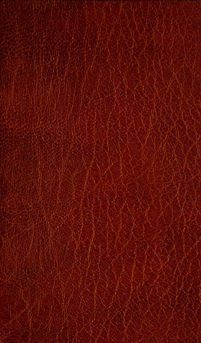 No text description is available for this image