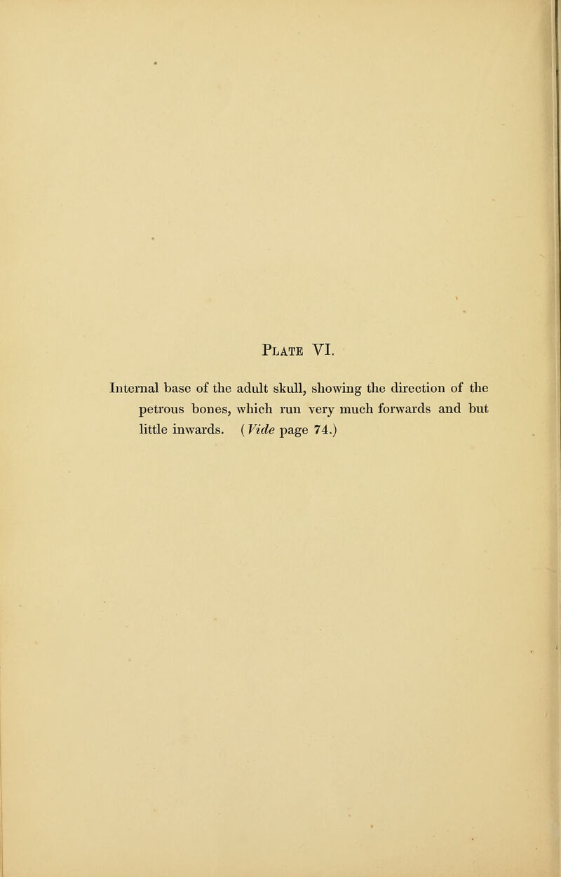 Internal base of the adult skull, showing the direction of the petrous bones, which run very much forwards and but little inwards, ( Vide page 74.)