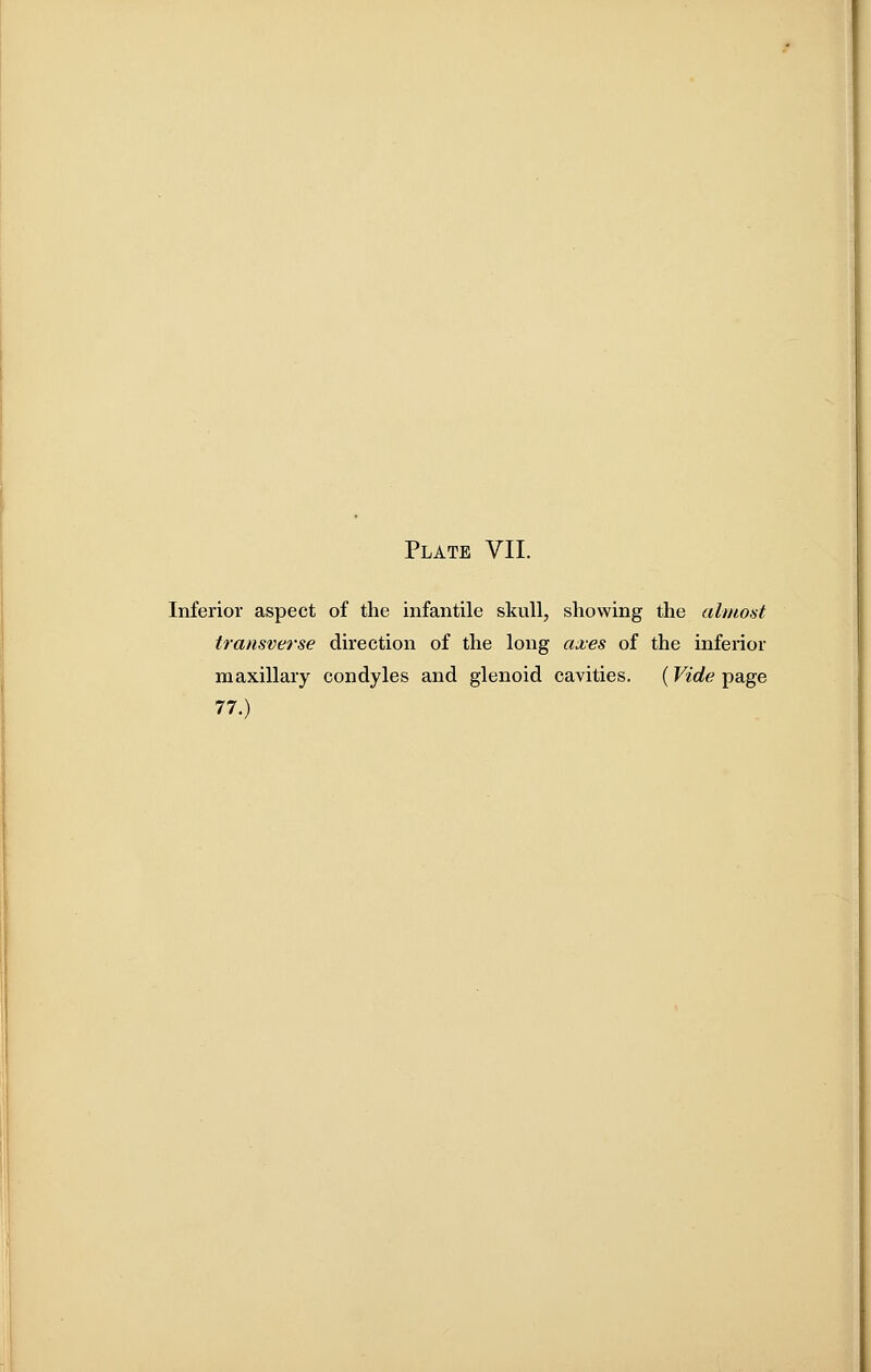 Inferior aspect of the infantile skull, showing the almost transverse direction of the long axes of the inferior maxillary condyles and glenoid cavities. (Vide page 77.)