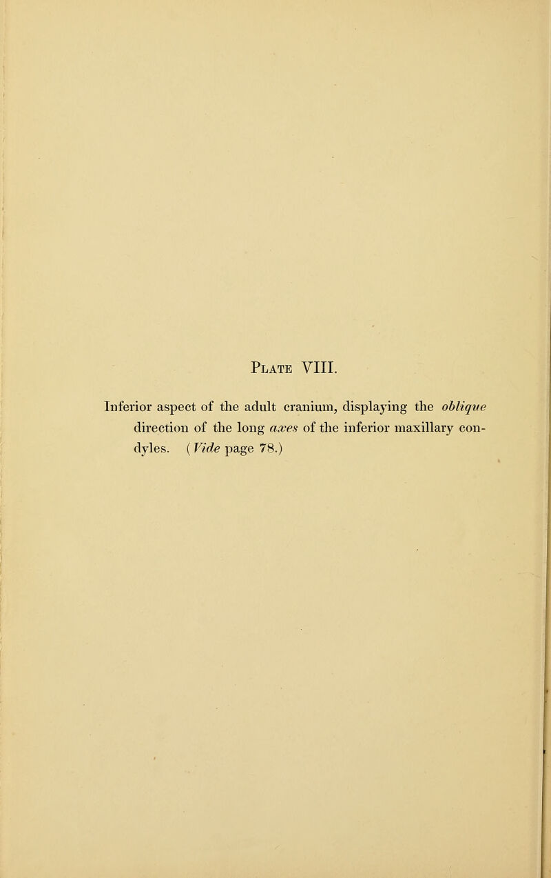 Inferior aspect of the adult cranium, displaying the oblique direction of the long axes of the inferior maxillary con- dyles. (Vide page 78.)