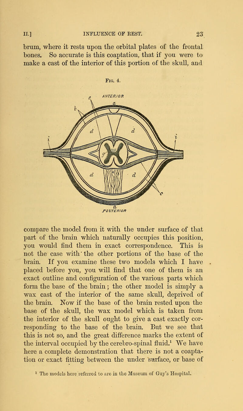 brum, where it rests upon the orbital plates of the frontal bones. So accurate is this coaptation, that if you were to make a cast of the interior of this portion of the skull, and Fig. 4. compare the model from it with the under surface of that part of the brain which naturally occupies this position, you would find them in exact correspondence. This is not the case with' the other portions of the base of the brain. If you examine these two models which I have placed before you, you will find that one of them is an exact outline and configuration of the various parts which form the base of the brain; the other model is simply a wax cast of the interior of the same skull, deprived of the brain. Now if the base of the brain rested upon the base of the skull, the wax model which is taken from the interior of the skull ought to give a cast exactly cor- responding to the base of the brain. But we see that this is not so, and the great difference marks the extent of the interval occupied by the cerebro-spinal fluid.1 We have here a complete demonstration that there is not a coapta- tion or exact fitting between the under 'surface, or base of 1 The models here referred to are in the Museum of Guy's Hospital.