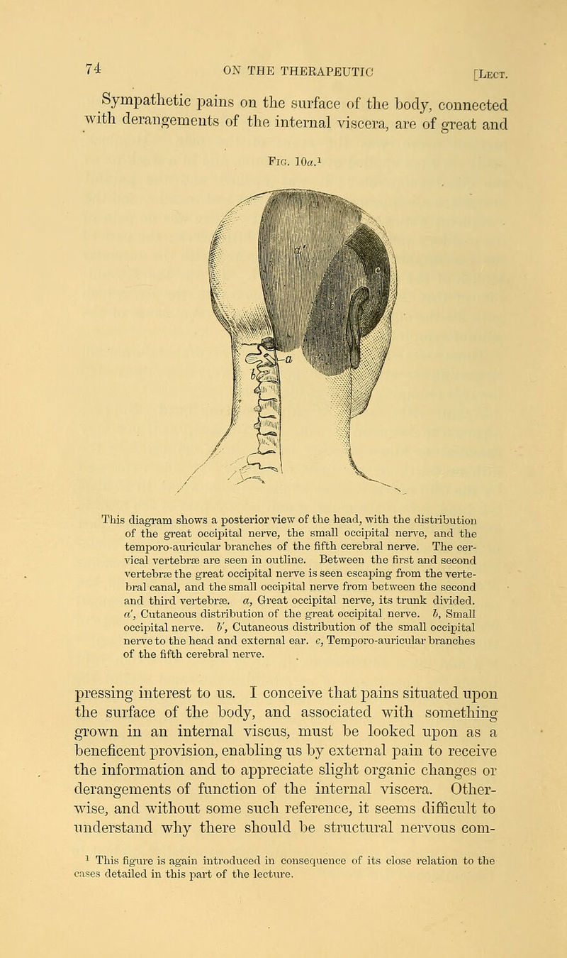 FLect. Sympathetic pains on the surface of the body, connected with derangements of the internal viscera, are of great and Fig. 10a.1 This diagram shows a posterior view of the head, with the distribution of the great occipital nerve, the small occipital nerve, and the temporo-auricular branches of the fifth cerebral nerve. The cer- vical vertebra? are seen in outline. Between the first and second vertebrae the great occipital nerve is seen escaping from the verte- bral canal, and the small occipital nerve from between the second and third vertebra?, a, Great occipital nerve, its trunk divided. a', Cutaneous distribution of the great occipital nerve. 5, Small occipital nerve. V, Cutaneous distribution of the small occipital nerve to the head and external ear. c, Temporo-auricular branches of the fifth cerebral nerve. pressing interest to us. I conceive that pains situated upon the surface of the body, and associated with something- grown in an internal viscus, must be looked upon as a beneficent provision, enabling us by external pain to receive the information and to appreciate slight organic changes or derangements of function of the internal viscera. Other- wise, and without some such reference, it seems difficult to understand why there should be structural nervous com- 1 This figure is again introduced in consequence of its close relation to the cases detailed in this part of the lecture.