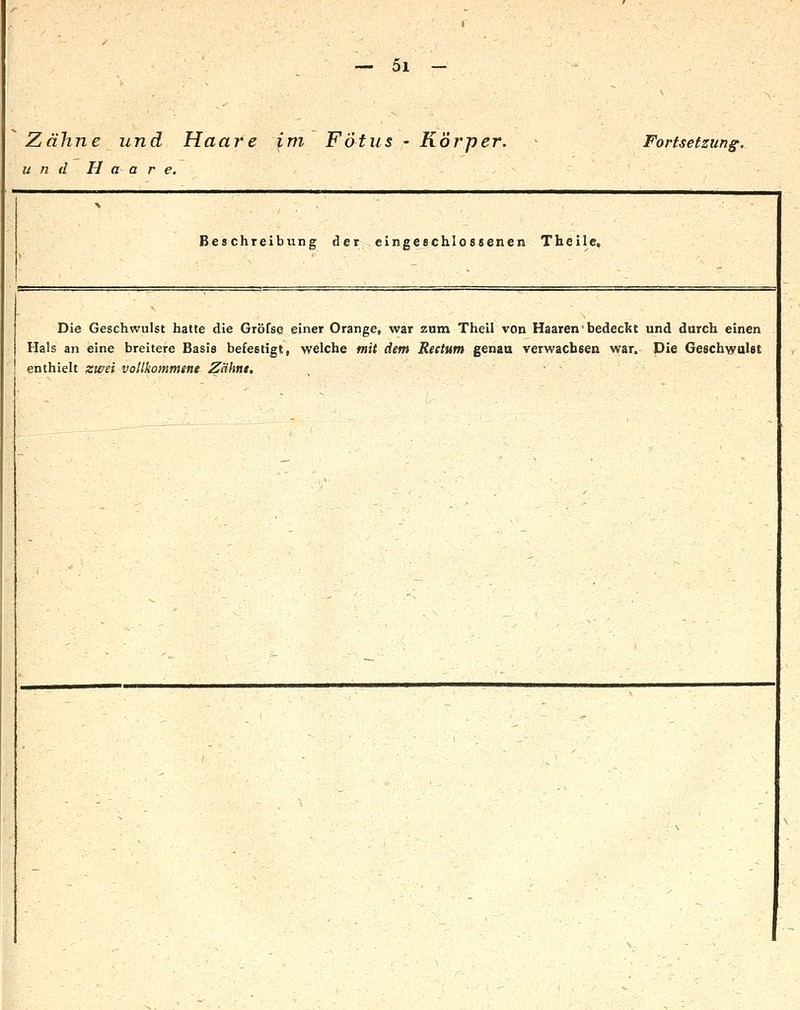 Zähne und Haare im FÖtus - Körper. ■ Fortsetzung: und Haare. Beschreibung der eingeschlossenen Thelle, Die Geschwulst hatte die Gröfse einer Orange, war zum Theil von Haaren'bedeckt und durch einen Hals an eine breitere Basis befestigt, welche mit dem Rectum genaa verwachsen vvar. Die Geschwulst enthielt zterei vollkommene ^ähnt. , ' '