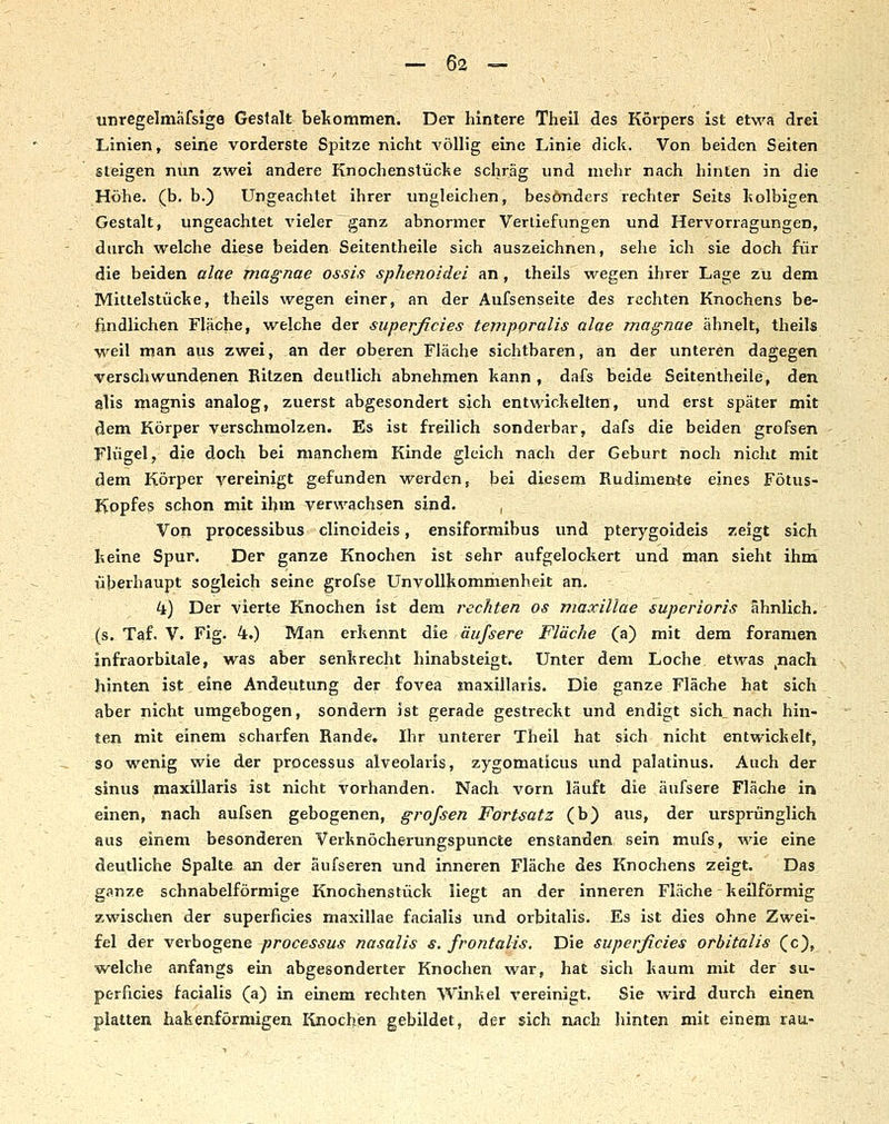 unregelmäfsige Gestalt bekommen. Der hintere Theil des Körpers ist etwa drei Linien, seine vorderste Spitze nicht A'öUig eine Linie dick. Von beiden Seiten steigen nun zwei andere Knochenstücke schräg und mehr nach hinten in die Höhe. (b. b.) Ungeachtet ihrer ungleichen, besonders rechter Seits kolbigen Gestalt, ungeachtet vieler ganz abnormer Verliefungen und Hervorragungen, duixh welche diese beiden Seitentheile sich auszeichnen, sehe ich sie doch für die beiden alae magnae ossis sphenoidei an, theils wegen ihrer Lage zu dem Mittelstücke, theils wegen einer, an der Aufsenseite des rechten Knochens be- findlichen Fläche, welche der superficies tempQralis alae magnae ähnelt, theils weil man aus zwei, an der oberen Fläche sichtbaren, an der unteren dagegen verschwundenen Ritzen deutlich abnehmen kann , dafs beide Seitentheile, den alis magnis analog, zuerst abgesondert sich entwickelten, und erst später mit dem Körper verschmolzen. Es ist freilich sonderbar, dafs die beiden grofsen Flügel, die doch bei manchem Kinde gleich nach der Geburt noch nicht mit dem Körper vereinigt gefunden werden, bei diesem Rudimente eines Fötus- Kopfes schon mit ihm verwachsen sind. , Von prpcessibus clinoideis, ensiformibus und pterygoideis zeigt sich keine Spur. Der ganze Knochen ist sehr aufgelockert und man sieht ihni überhaupt sogleich seine grofse UnvoUkommenheit an. 4) Der vierte Knochen ist dem rechten os niaxiUae superioris ähnlich. (s. Taf. V. Fig. 4.) Man erkennt die äufsere Fläche (a) mit dem foramen infraorbitale, was aber senkrecht hinabsteigt. Unter dem Loche etwas ,nach hinten ist eine Andeutung der fovea maxillaris. Die ganze Fläche hat sich aber nicht umgebogen, sondern ist gerade gestreckt und endigt sich nach hin- ten mit einem scharfen Rande. Ihr unterer Theil hat sich nicht entwickelt, so wenig wie der processus alveolaris, zygomaticus und palatinus. Auch der sinus maxillaris ist nicht vorhanden. Nach vorn läuft die äufsere Fläche in einen, nach aufsen gebogenen, grofsen Fortsatz (b) aus, der ursprünglich aus einem besonderen Verknöcherungspuncte enstanden sein mufs, wie eine deutliche Spalte an der äufseren und inneren Fläche des Knochens zeigt. Das ganze schnabelförmige Knochenstück liegt an der inneren Fläche keilförmig zwischen der superficies maxillae facialis und orbitalis. Es ist dies ohne Zwei- fel der verbogene processus nasalis s. frontalis. Die superficies orbitalis (c), welche anfangs ein abgesonderter Knochen war, hat sich kaum mit der su- perficies facialis (a) in einem rechten Winkel vereinigt. Sie wird durch einen platten hakenförmigen Knochen gebildet, der sich nach hinten mit einem rau-