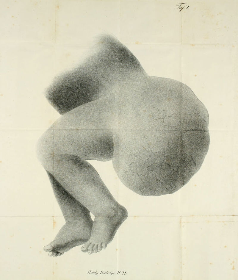 /li////f/ /Jf/Z/m/t // TJ,