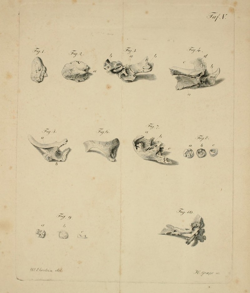 ■>^'/; '/'y>^.0. ^y-:. a 6 c % JLJL /// /^v^/,, ./,•/ -^■> fOLpi' -u: