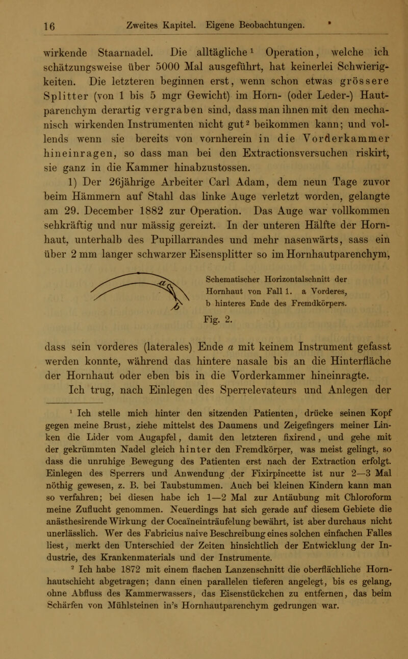 wirkende Staarnadel. Die alltäglichex Operation, welche ich schätzungsweise über 5000 Mal ausgeführt, hat keinerlei Schwierig- keiten. Die letzteren beginnen erst, wenn schon etwas grössere Splitter (von 1 bis 5 mgr Gewicht) im Hörn- (oder Leder-) Haut- parenchym derartig vergraben sind, dass man ihnen mit den mecha- nisch wirkenden Instrumenten nicht gut2 beikommen kann; und vol- lends wenn sie bereits von vornherein in die Vorderkammer hineinragen, so dass man bei den Extractionsversuchen riskirt, sie ganz in die Kammer hinabzustossen. 1) Der 26jährige Arbeiter Carl Adam, dem neun Tage zuvor beim Hämmern auf Stahl das linke Auge verletzt worden, gelangte am 29. December 1882 zur Operation. Das Auge war vollkommen sehkräftig und nur massig gereizt. In der unteren Hälfte der Horn- haut, unterhalb des Pupillarrandes und mehr nasenwärts, sass ein über 2 mm langer schwarzer Eisensplitter so im Hornhautparenchym, Schematischer Horizontalschnitt der Hornhaut von Fall 1. a Vorderes, b hinteres Ende des Fremdkörpers. Fig. 2. dass sein vorderes (laterales) Ende a mit keinem Instrument gefasst werden konnte, während das hintere nasale bis an die Hinterfläche der Hornhaut oder eben bis in die Vorderkammer hineinragte. Ich trug, nach Einlegen des Sperrelevateurs und Anlegen der 1 Ich stelle mich hinter den sitzenden Patienten, drücke seinen Kopf gegen meine Brust, ziehe mittelst des Daumens und Zeigefingers meiner Lin- ken die Lider vom Augapfel, damit den letzteren fixirend, und gehe mit der gekrümmten Nadel gleich hinter den Fremdkörper, was meist gelingt, so dass die unruhige Bewegung des Patienten erst nach der Extraction erfolgt. Einlegen des Sperrers und Anwendung der Fixirpincette ist nur 2—3 Mal nöthig gewesen, z. B. bei Taubstummen. Auch bei kleinen Kindern kann man so verfahren; bei diesen habe ich 1—2 Mal zur Antäubung mit Chloroform meine Zuflucht genommen. Neuerdings hat sich gerade auf diesem Gebiete die anästhesirende Wirkung der Cocaineinträufelung bewährt, ist aber durchaus nicht unerlässlich. Wer des Fabricius naive Beschreibung eines solchen einfachen Falles liest, merkt den Unterschied der Zeiten hinsichtlich der Entwicklung der In- dustrie, des Krankenmaterials und der Instrumente. 2 Ich habe 1872 mit einem flachen Lanzenschnitt die oberflächliche Horn- hautschicht abgetragen; dann einen parallelen tieferen angelegt, bis es gelang, ohne Abfluss des Kammerwassers, das Eisenstückchen zu entfernen, das beim Schärfen von Mühlsteinen in's Hornhautparenchym gedrungen war.
