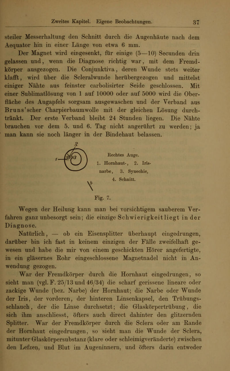 steiler Messerhaltung den Schnitt durch die Augenhäute nach dem Aequator hin in einer Länge von etwa 6 mm. Der Magnet wird eingesenkt, für einige (5—10) Secunden drin gelassen und, wenn die Diagnose richtig war, mit dem Fremd- körper ausgezogen. Die Conjunktiva, deren Wunde stets weiter klafft, wird über die Scleralwunde herübergezogen und mittelst einiger Nähte aus feinster carbolisirter Seide geschlossen. Mit einer Sublimatlösung von 1 auf 10000 oder auf 5000 wird die Ober- fläche des Augapfels sorgsam ausgewaschen und der Verband aus Bruns'scher Charpierbaumwolle mit der gleichen Lösung durch- tränkt. Der erste Verband bleibt 24 Stunden liegen. Die Nähte brauchen vor dem 5. und 6. Tag nicht angerührt zu werden; ja man kann sie noch länger in der Bindehaut belassen. Rechtes Auge. 1. Hornhaut-, 2. Iris- narbe, 3. Synechie, 4. Schnitt. X Fig. 7. Wegen der Heilung kann man bei vorsichtigem sauberem Ver- fahren ganz unbesorgt sein; die einzige Schwierigkeit liegt in der Diagnose. Natürlich, — ob ein Eisensplitter überhaupt eingedrungen, darüber bin ich fast in keinem einzigen der Fälle zweifelhaft ge- wesen und habe die mir von einem geschickten Hörer angefertigte, in ein gläsernes Rohr eingeschlossene Magnetnadel nicht in An- wendung gezogen. War der Fremdkörper durch die Hornhaut eingedrungen, so sieht man (vgl. F. 25/13 und 46/34) die scharf gerissene lineare oder zackige Wunde (bez. Narbe) der Hornhaut; die Narbe oder Wunde der Iris, der vorderen, der hinteren Linsenkapsel, den Trübungs- schlauch , der die Linse durchsetzt; die G-laskörpertrübung, die sich ihm anschliesst, öfters auch direct dahinter den glitzernden Splitter. War der Fremdkörper durch die Sclera oder am Rande der Hornhaut eingedrungen, so sieht man die Wunde der Sclera, mitunter Grlaskörpersubstanz (klare oder schleimigveränderte) zwischen den Lefzen, und Blut im Augeninnern, und öfters darin entweder